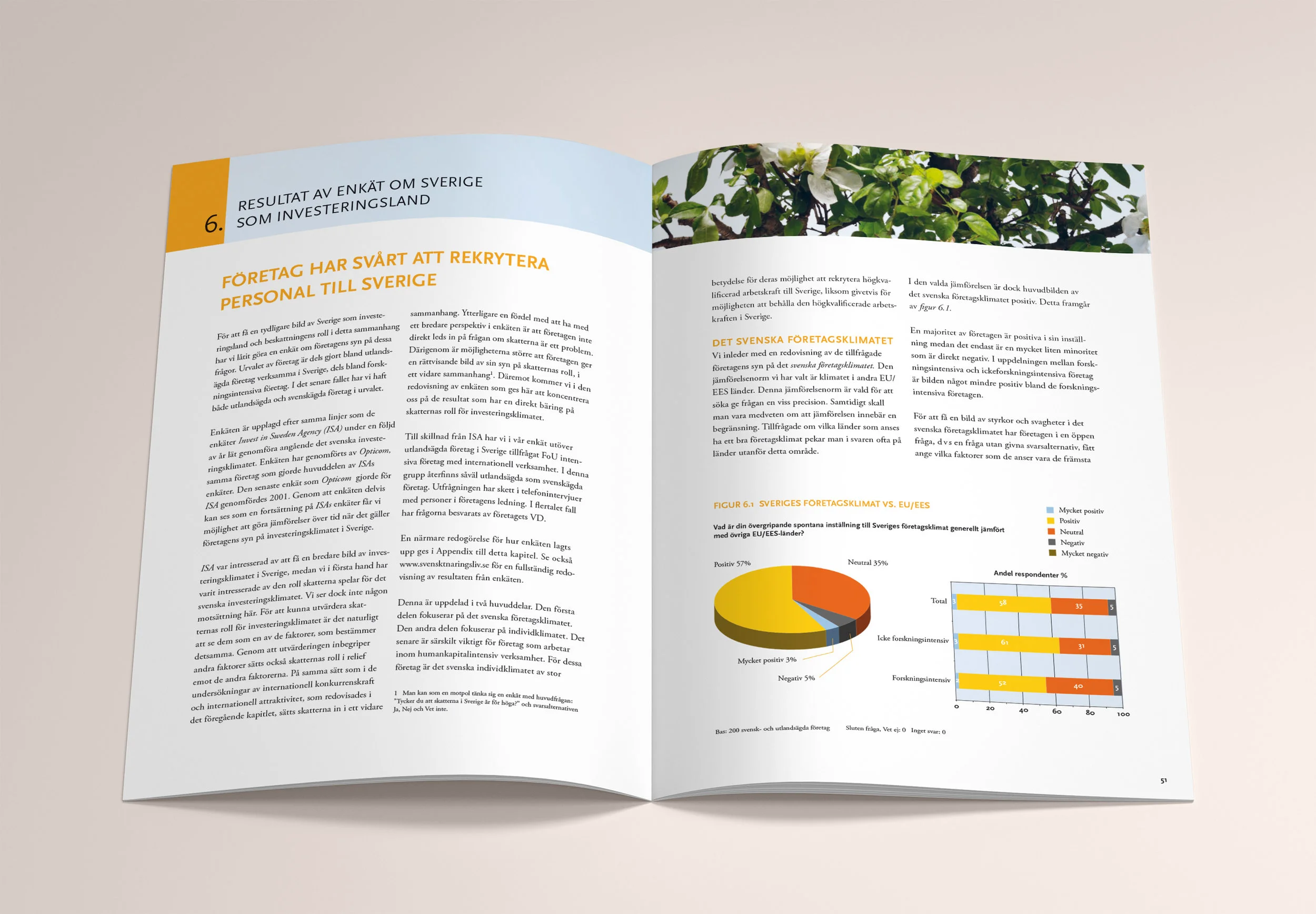 SN_Mockup_A4_Brochure_4_uppslag1.jpg