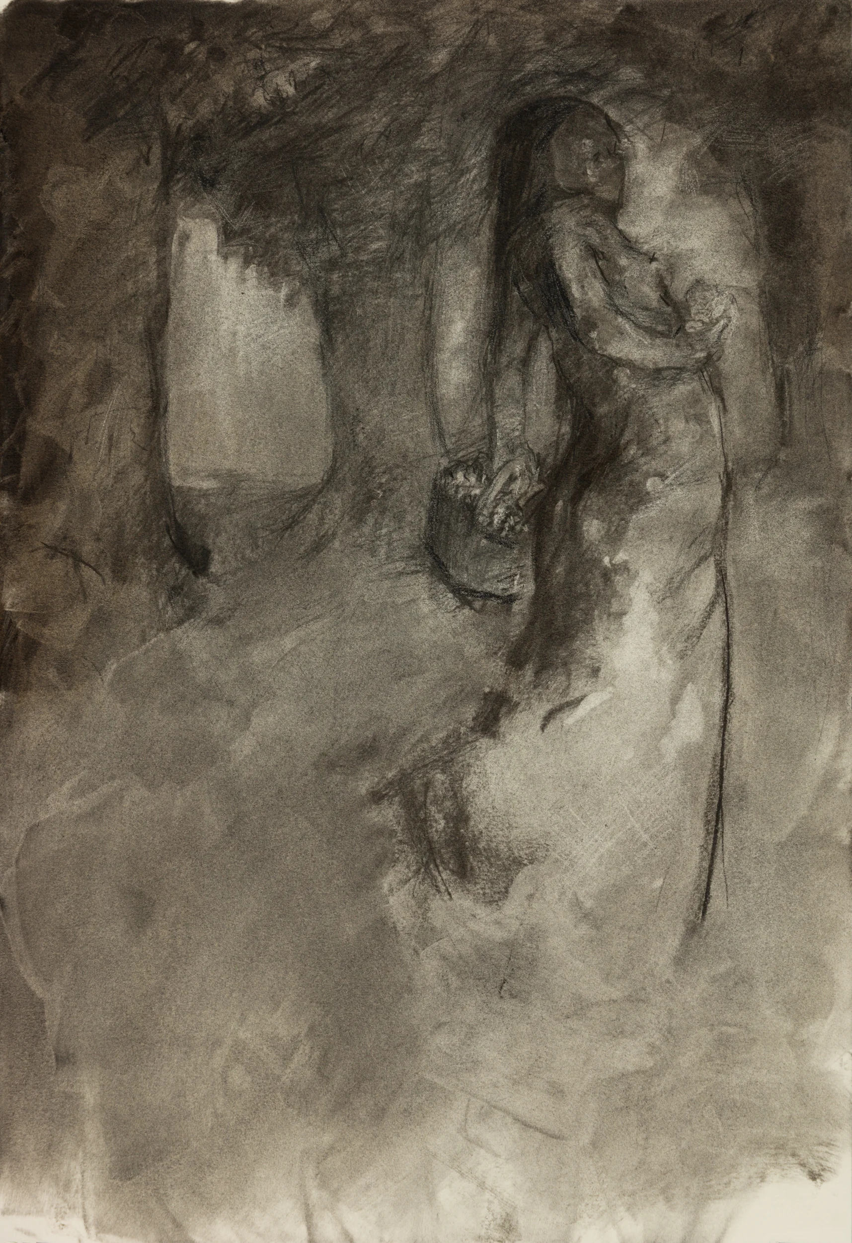 Series : Media : Charcoal on Paper Size : 15" by 22" Date : Aug 2018 PURCHASE PRINT (coming soon)
