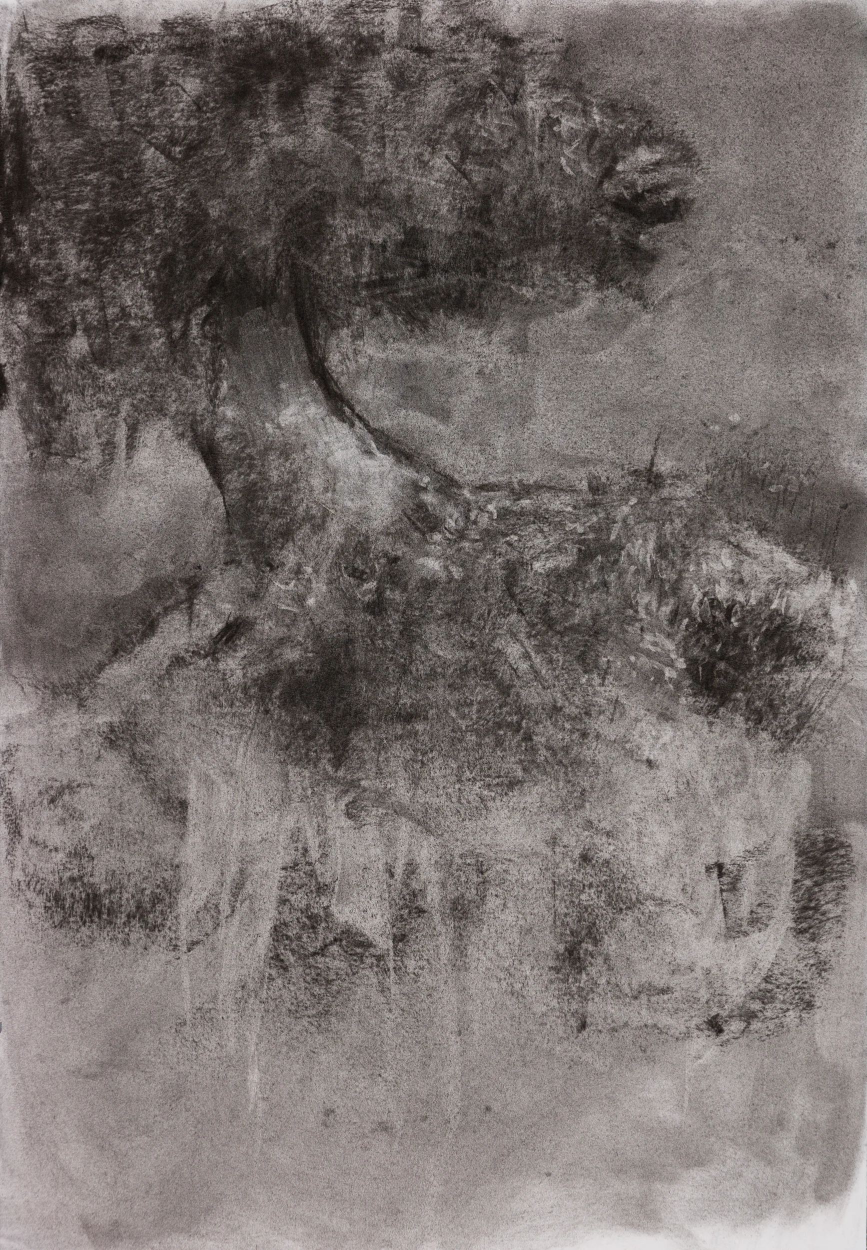 Series : Media : Charcoal on Paper Size : 15" by 22" Date : Oct 2018 PURCHASE PRINT (coming soon)
