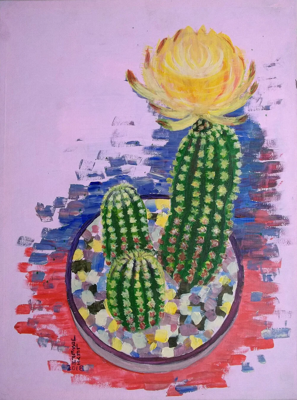 AmericanVoyager - Cacti