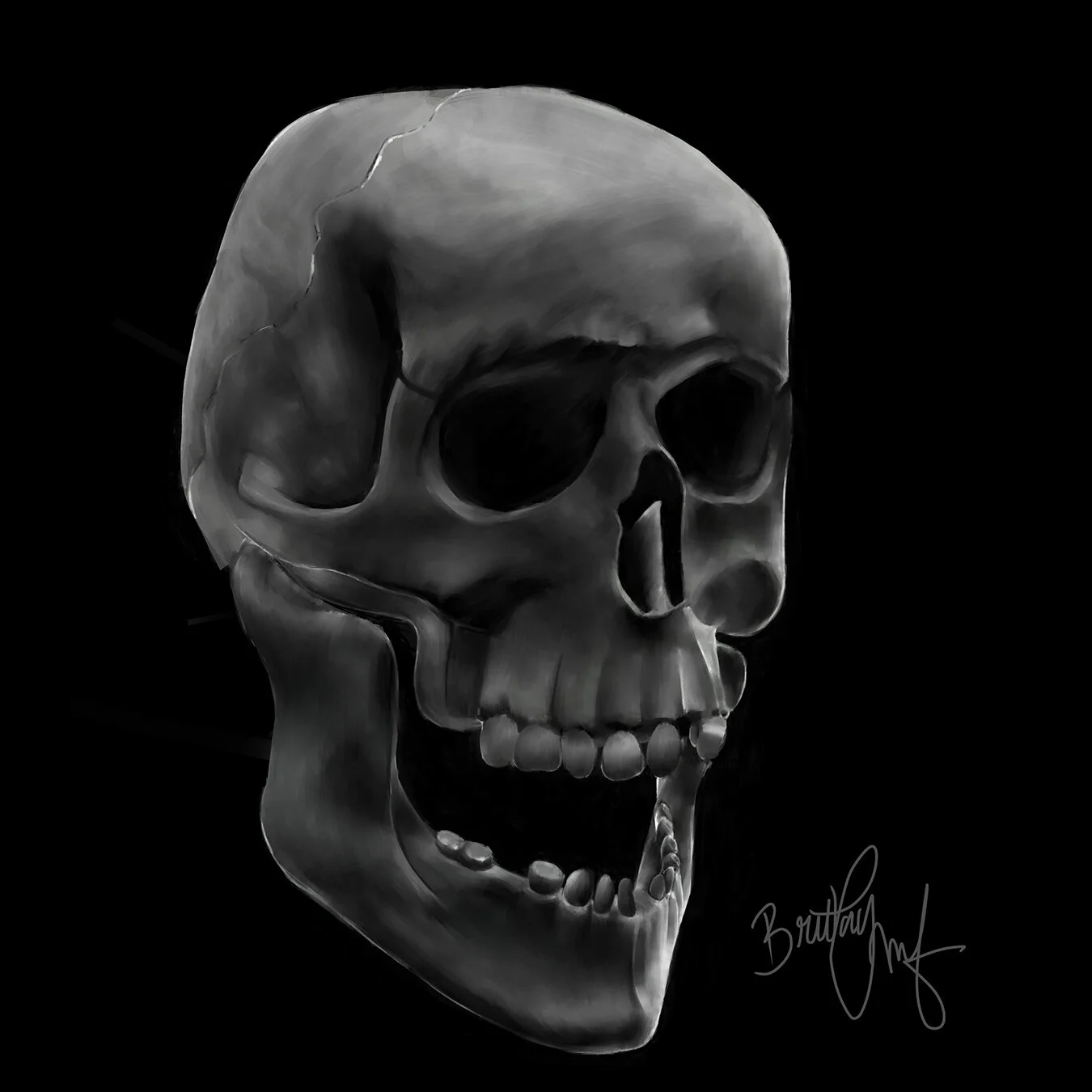 ArtVibes - Skull