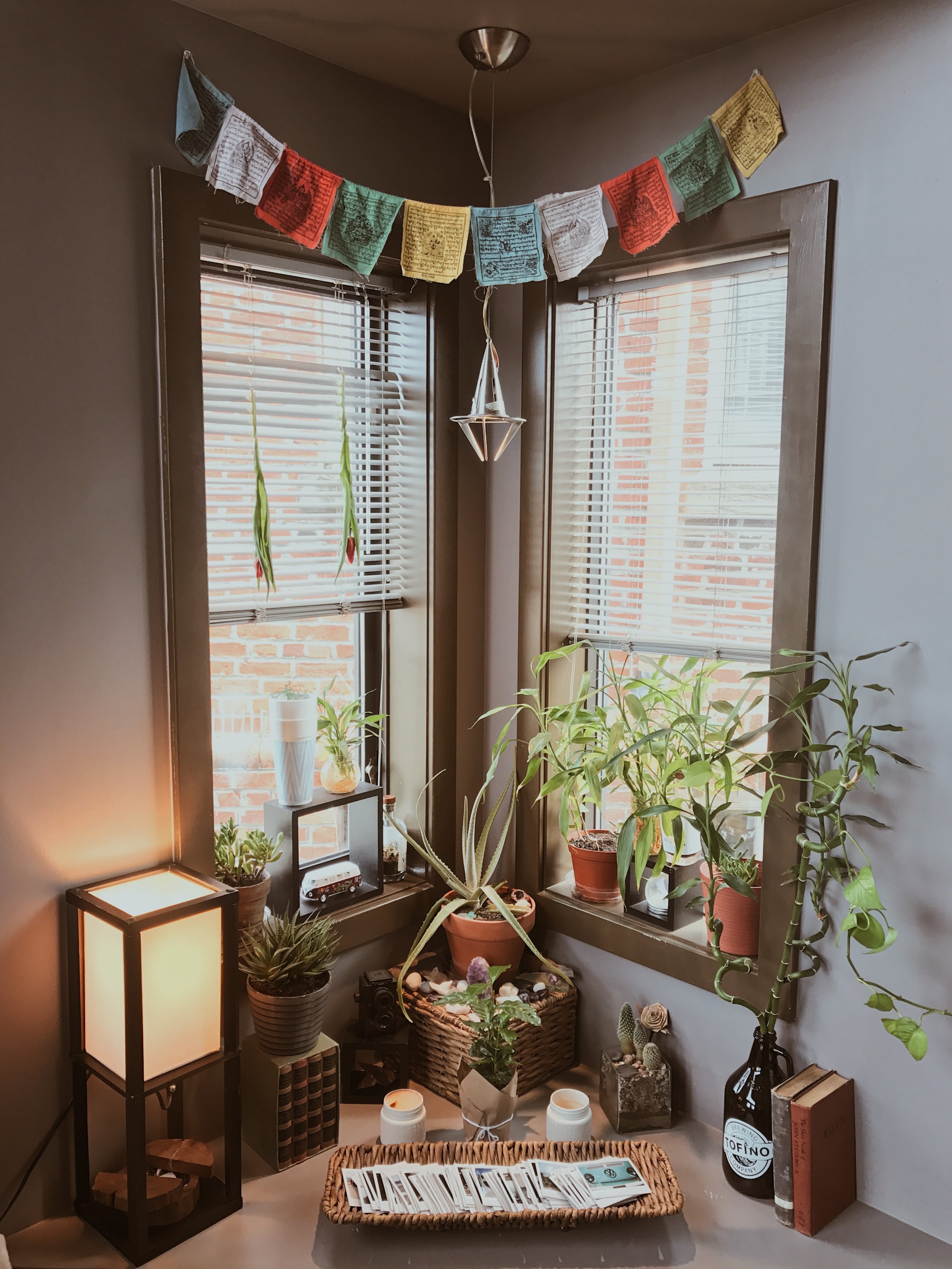 Plants &amp; Polaroids