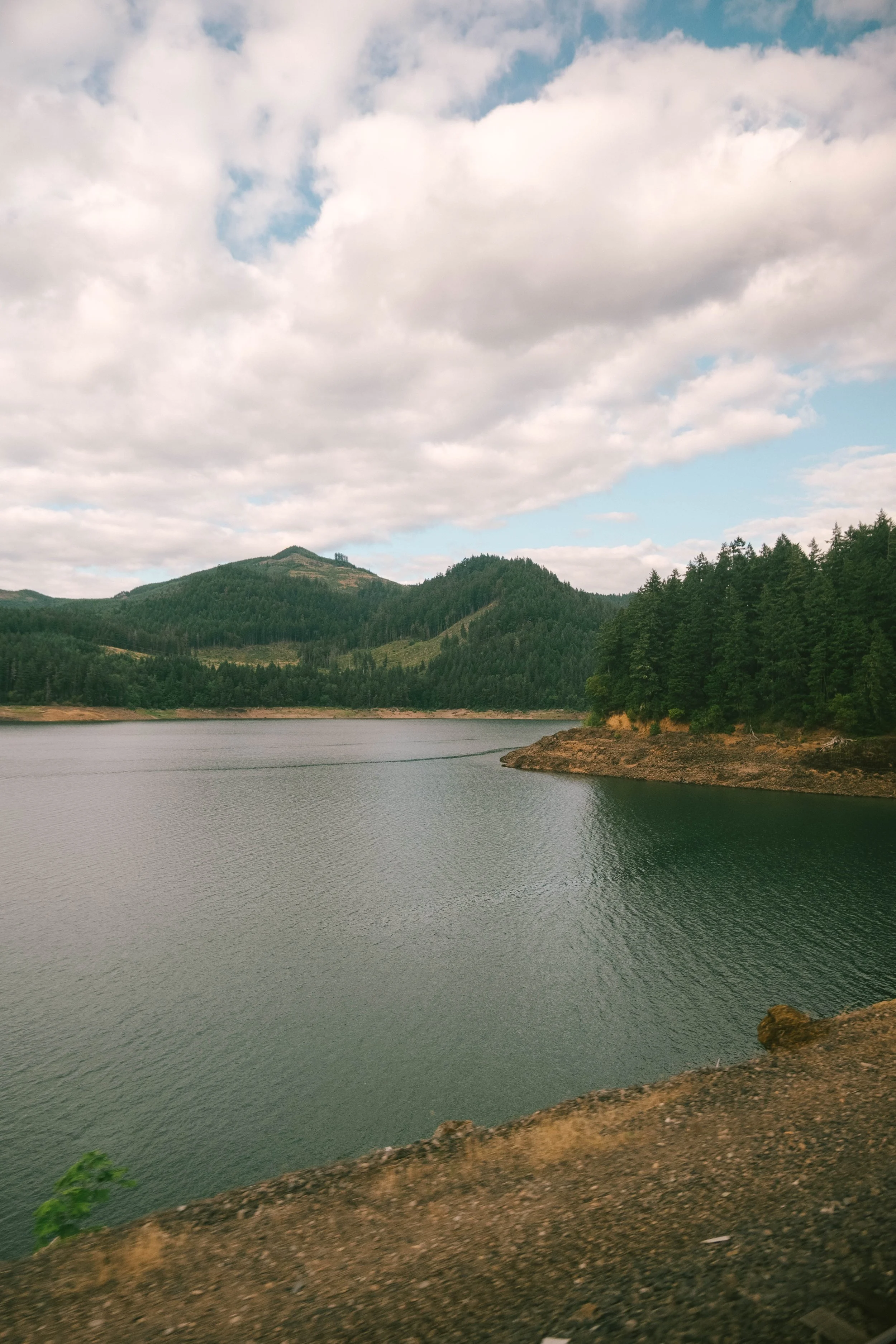 DSCF3453.jpg