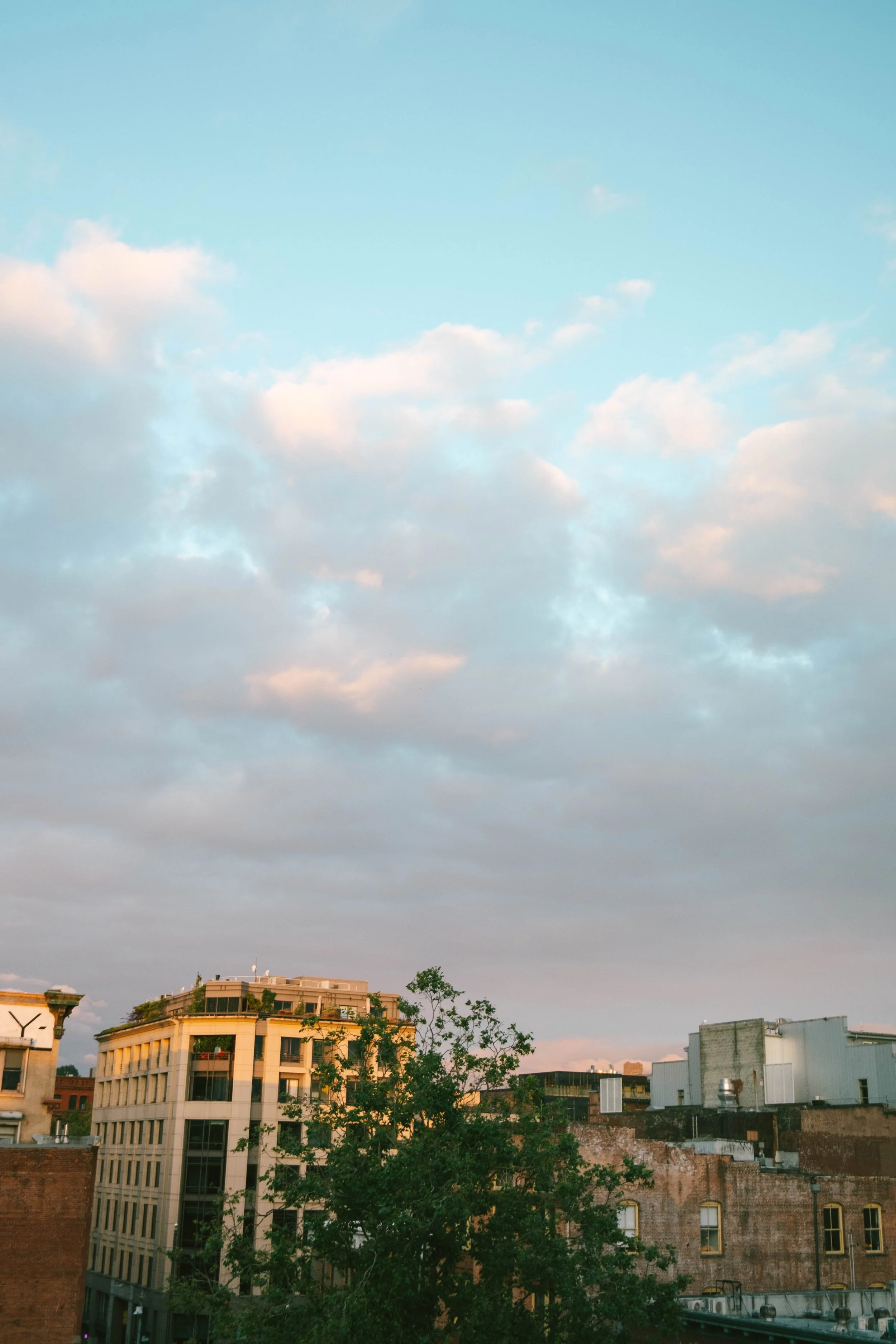 DSCF3448.jpg