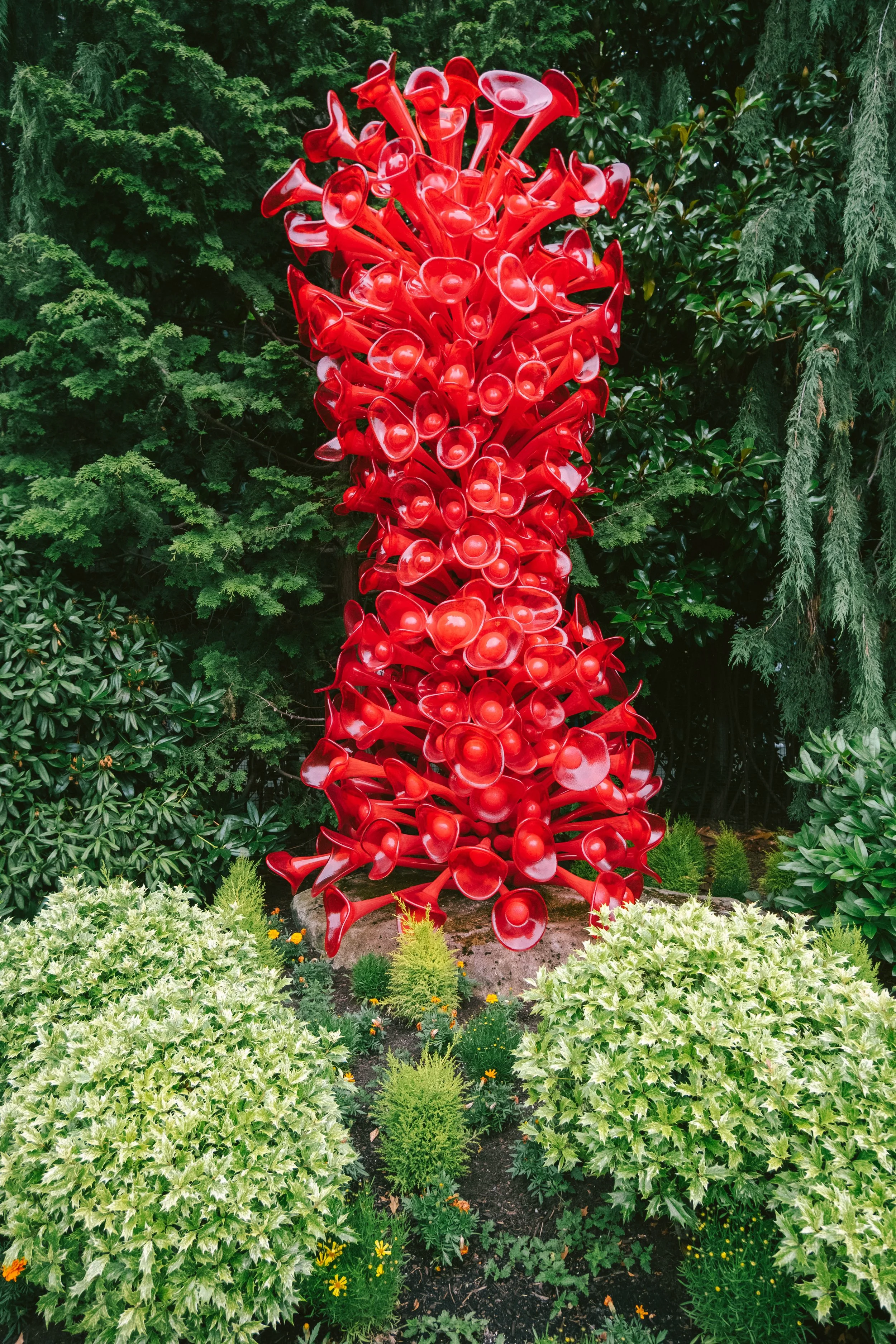 DSCF3425.jpg