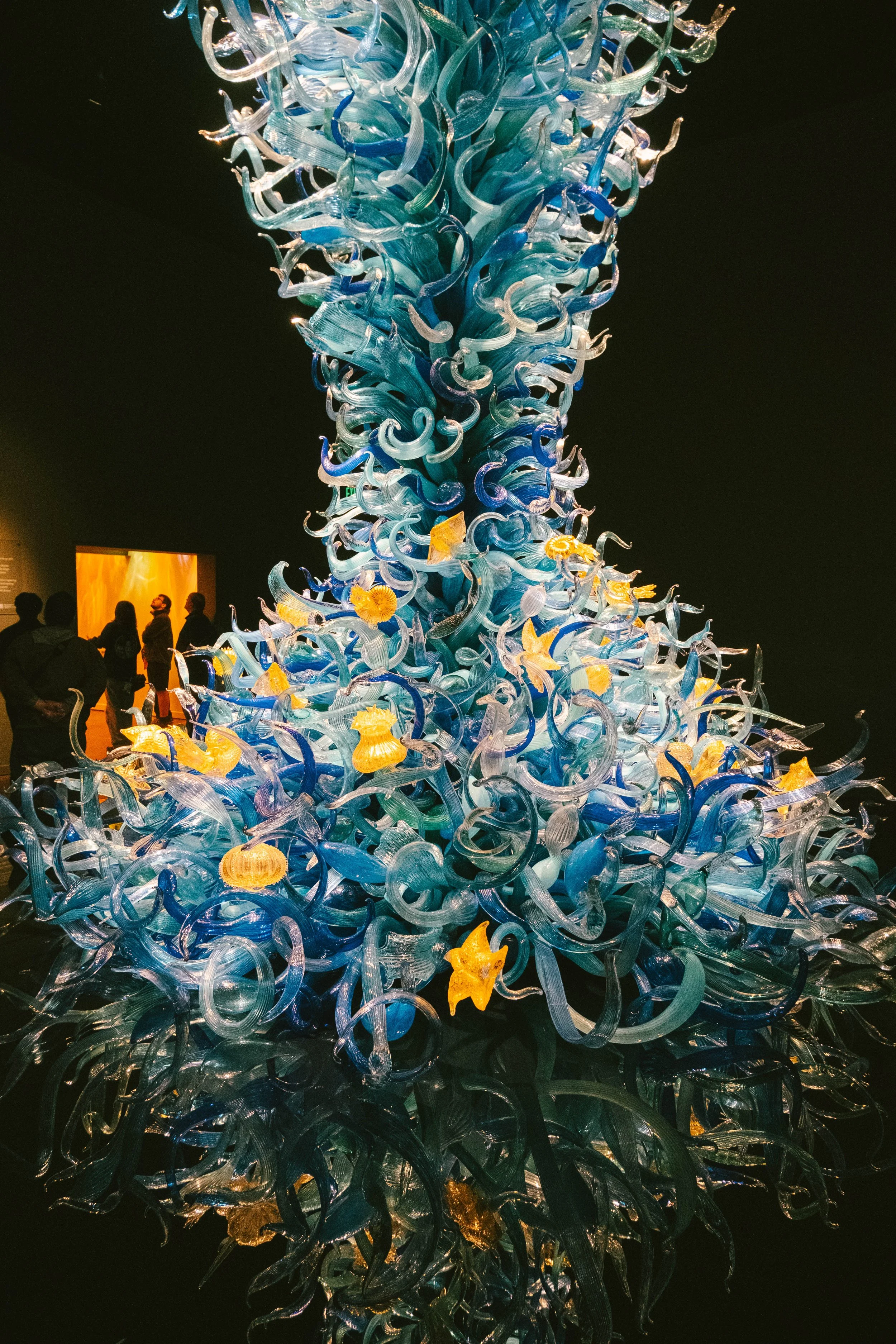 DSCF3395.jpg