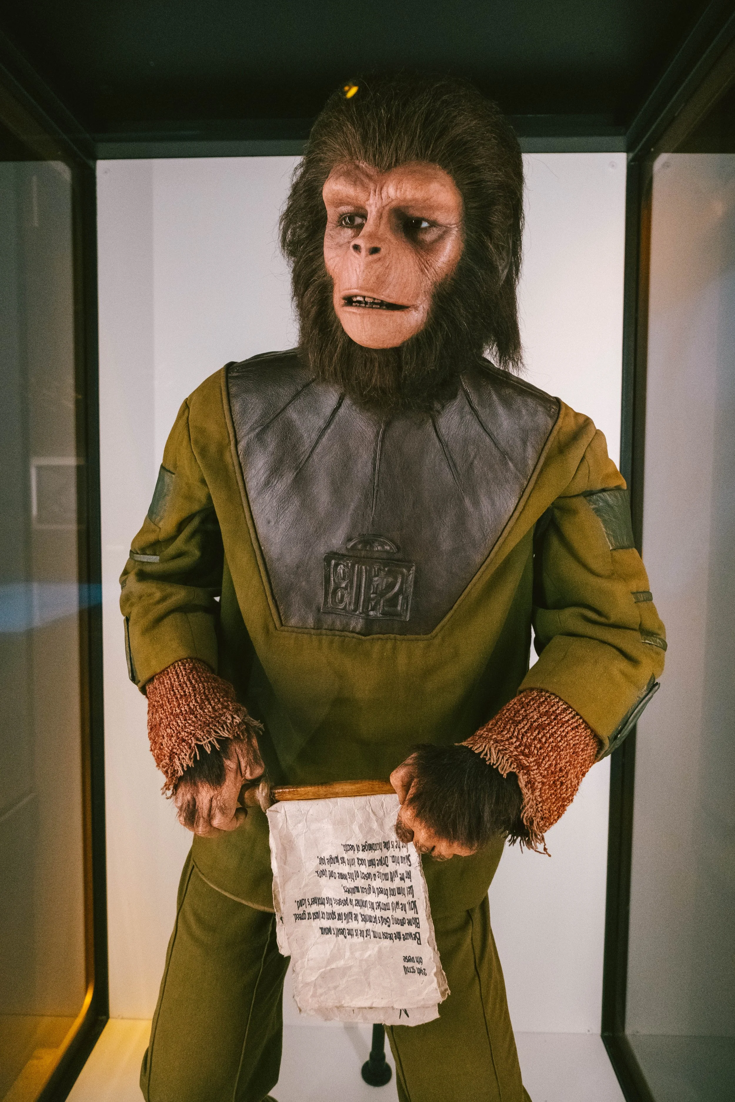 DSCF3368.jpg