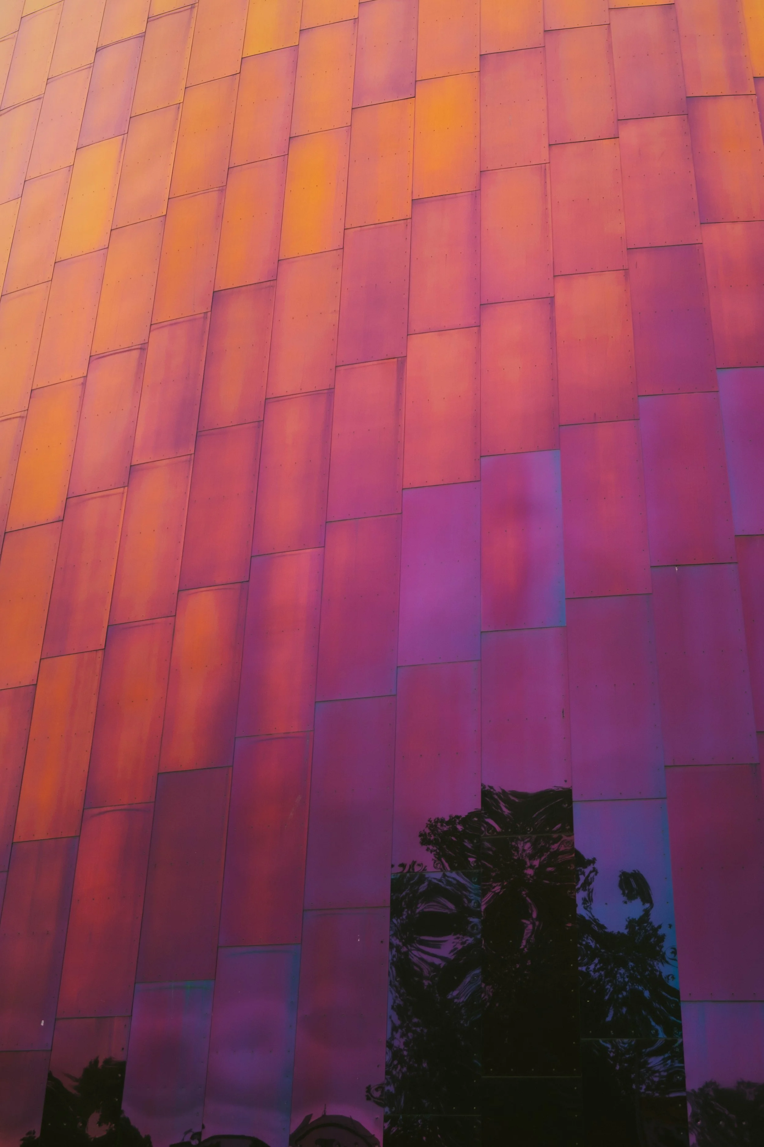 DSCF3359.jpg