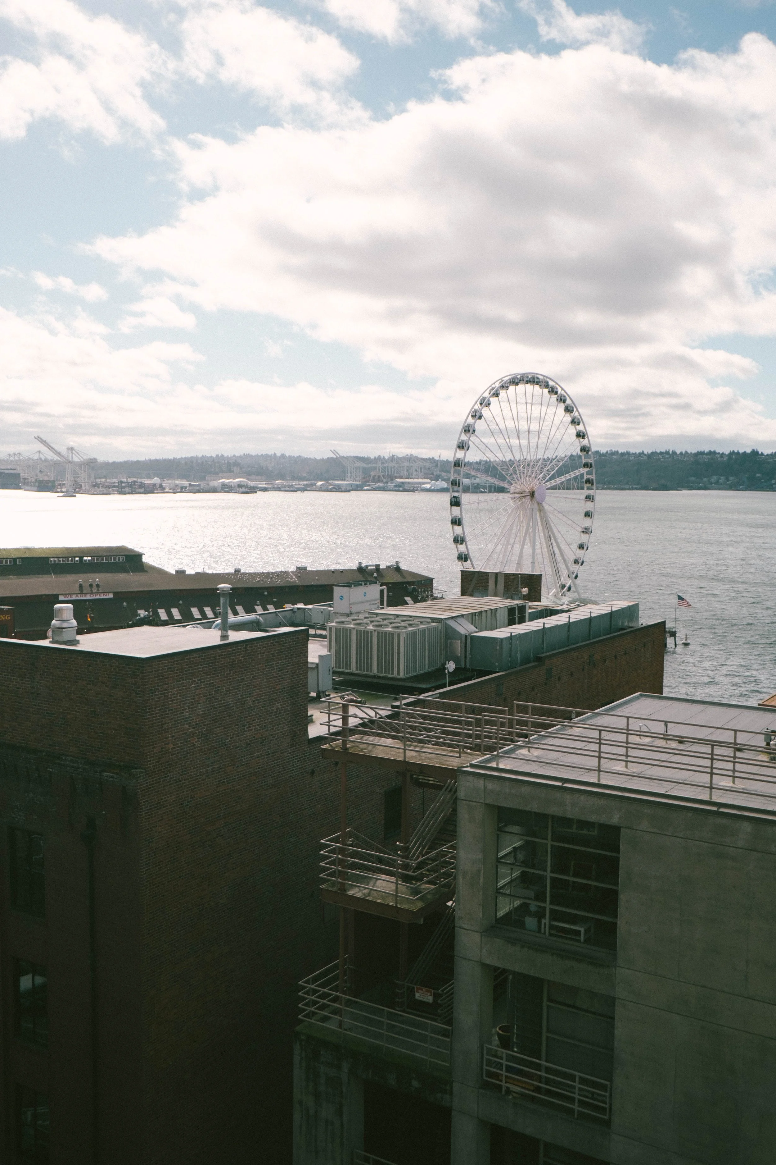 DSCF1595.jpg