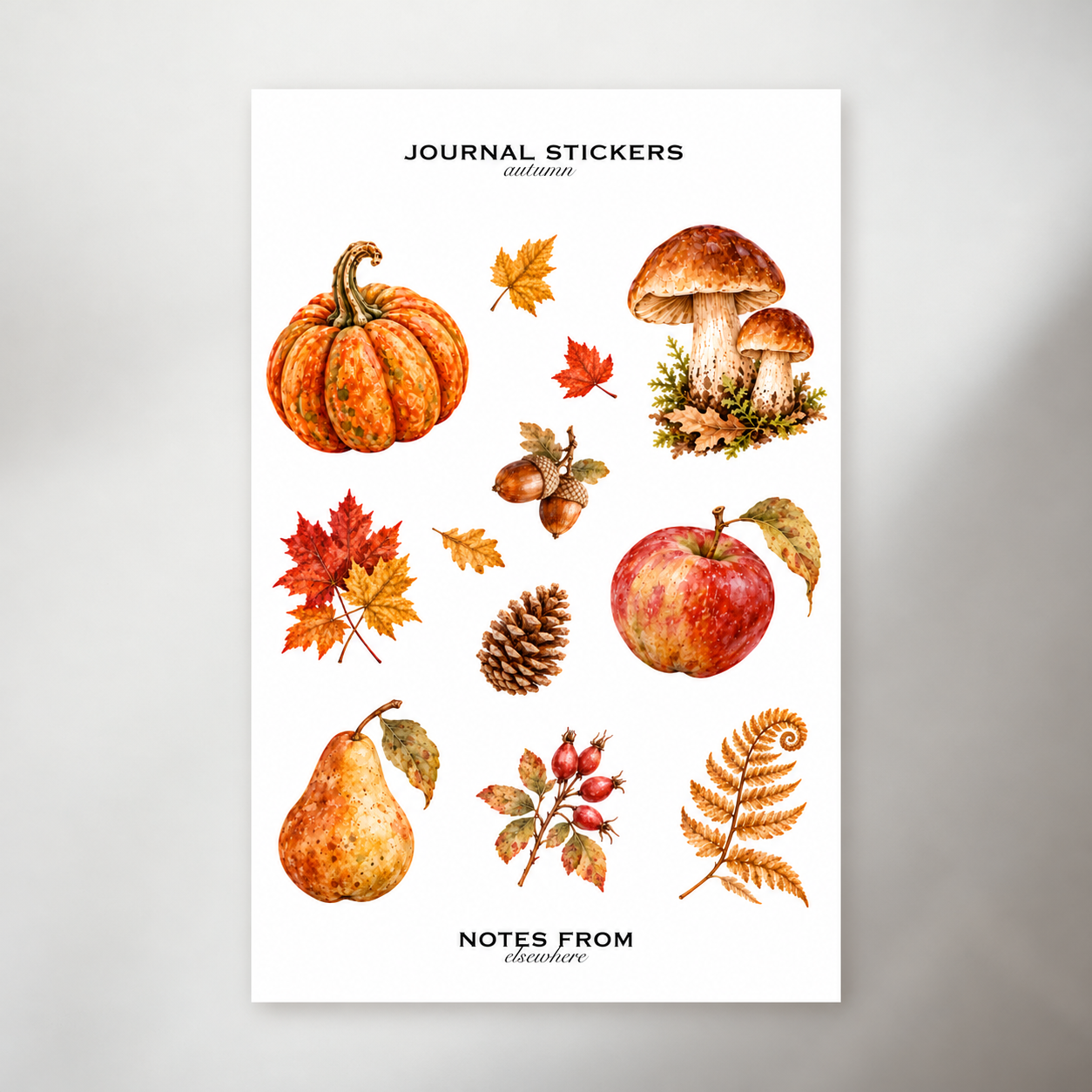 Autumn | Vol. 01