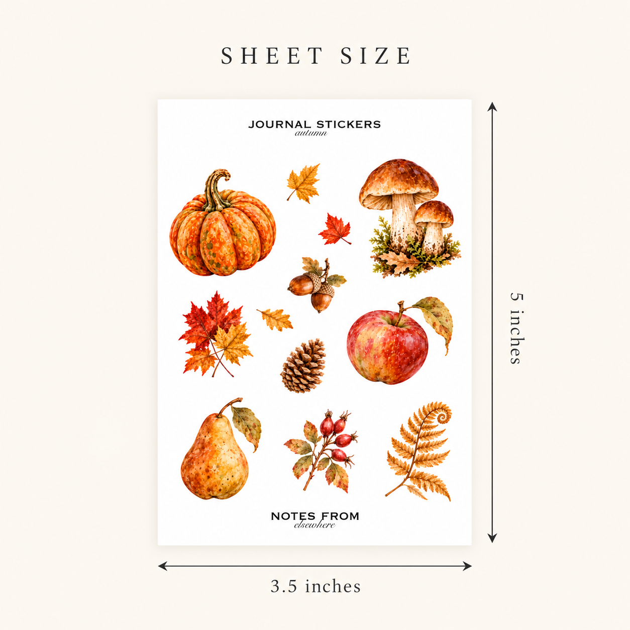 Autumn Sticker Sheet Size Guide-2.png