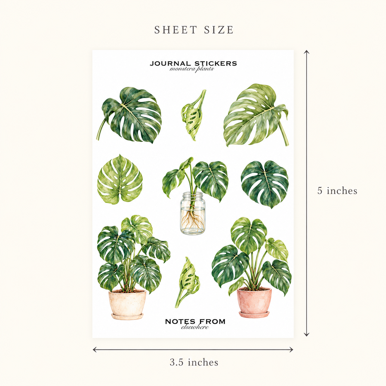 Monstera Sticker Sheet Size Guide-2.png