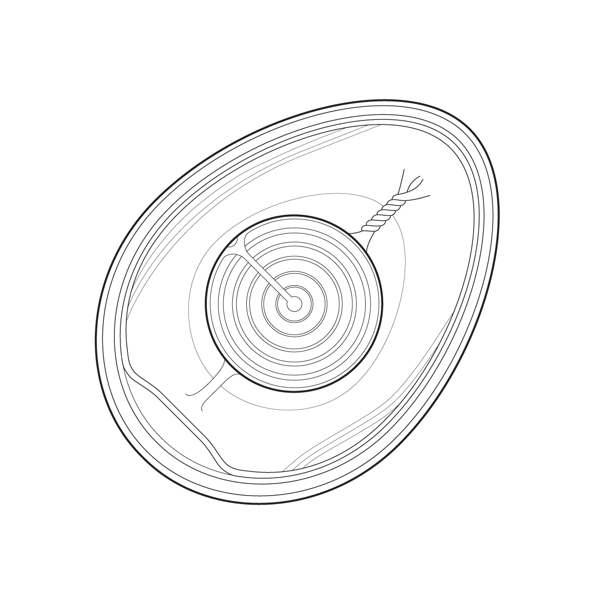 00 featured imgs_web-13-11.png