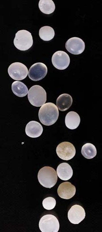 Sandi_Nurdles_vertical_thumb1.jpg