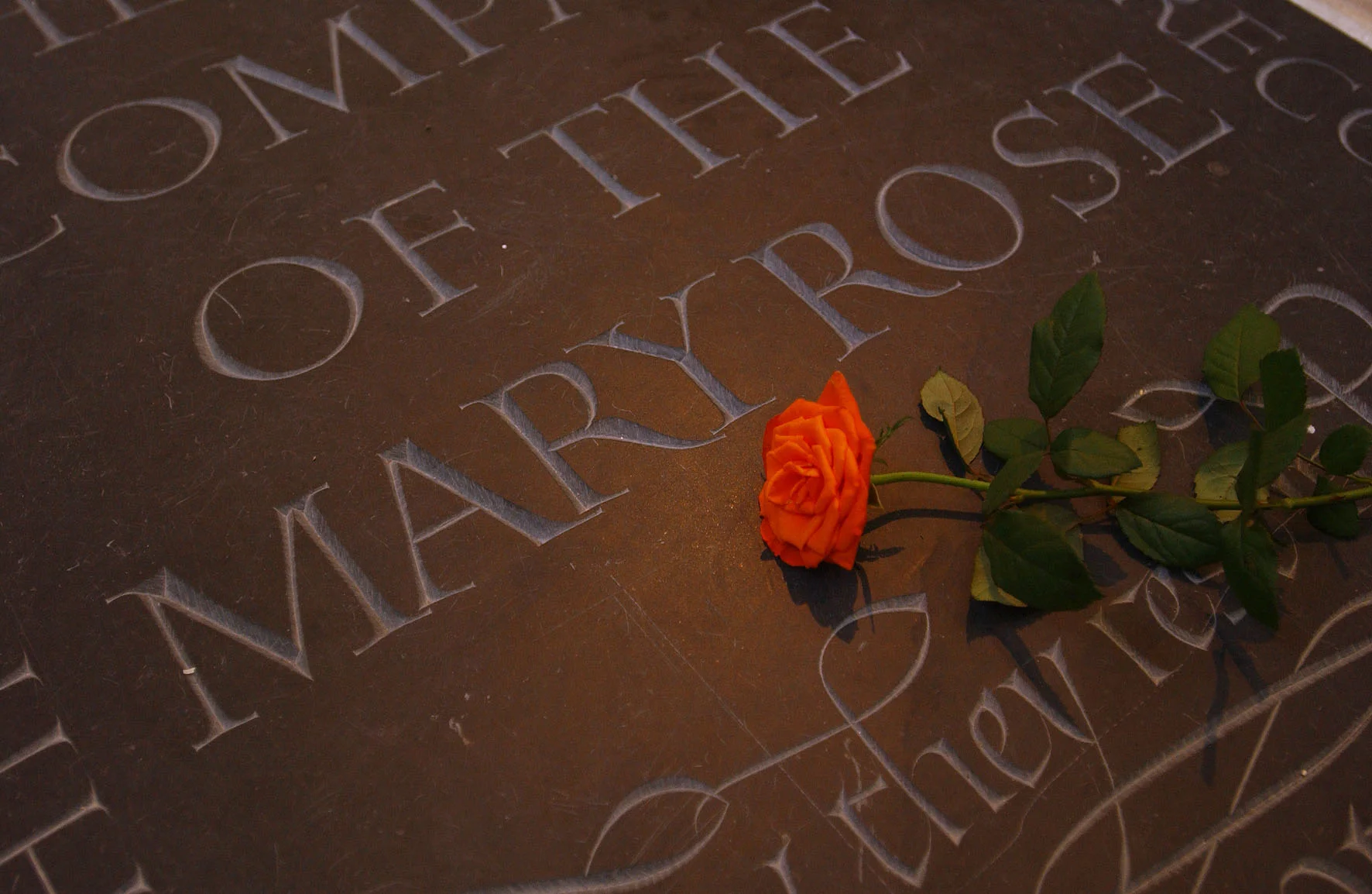 Seventh Sunday after Trinity - attended by the Mary Rose Trust