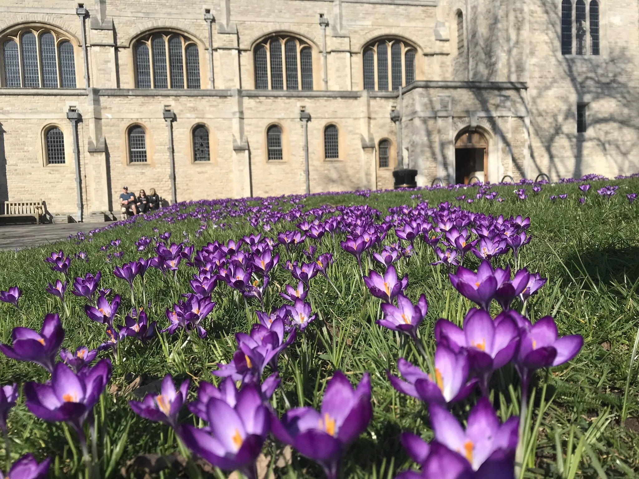 Weekly Notices | Sunday 14 March 2021