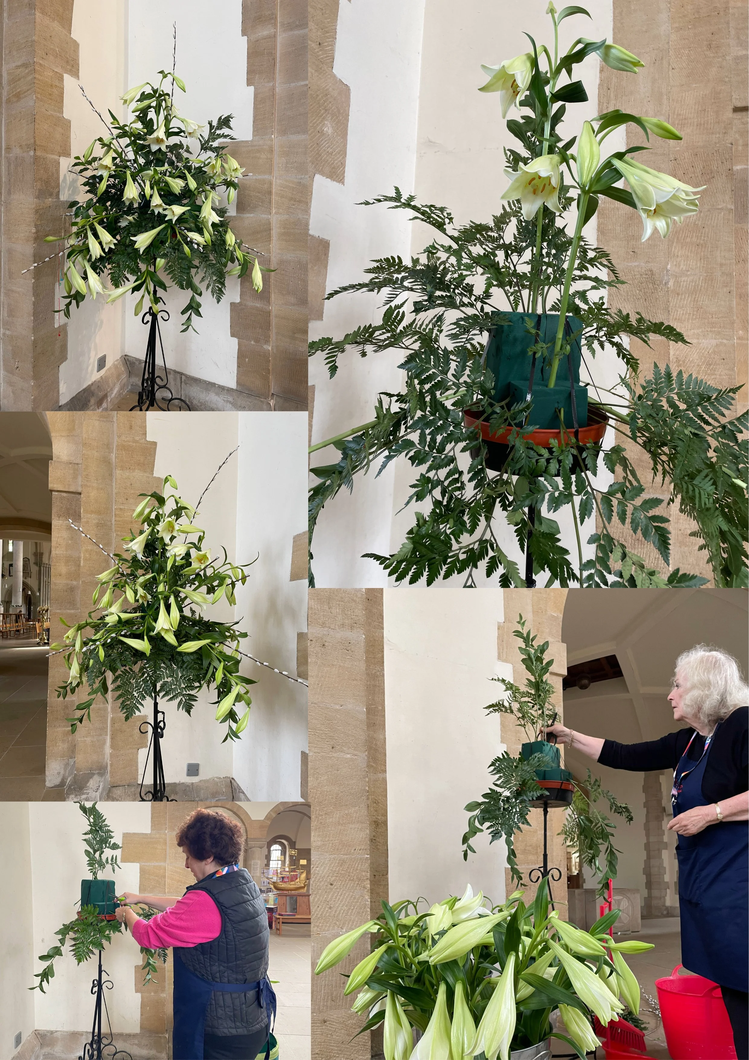 Our volunteers have been so busy!