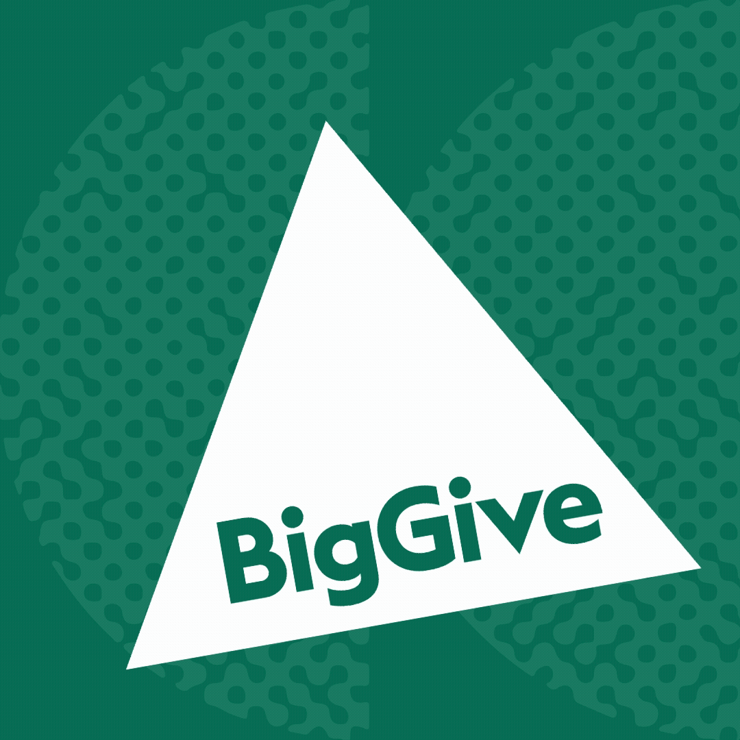 big give 2025_socials-2.gif