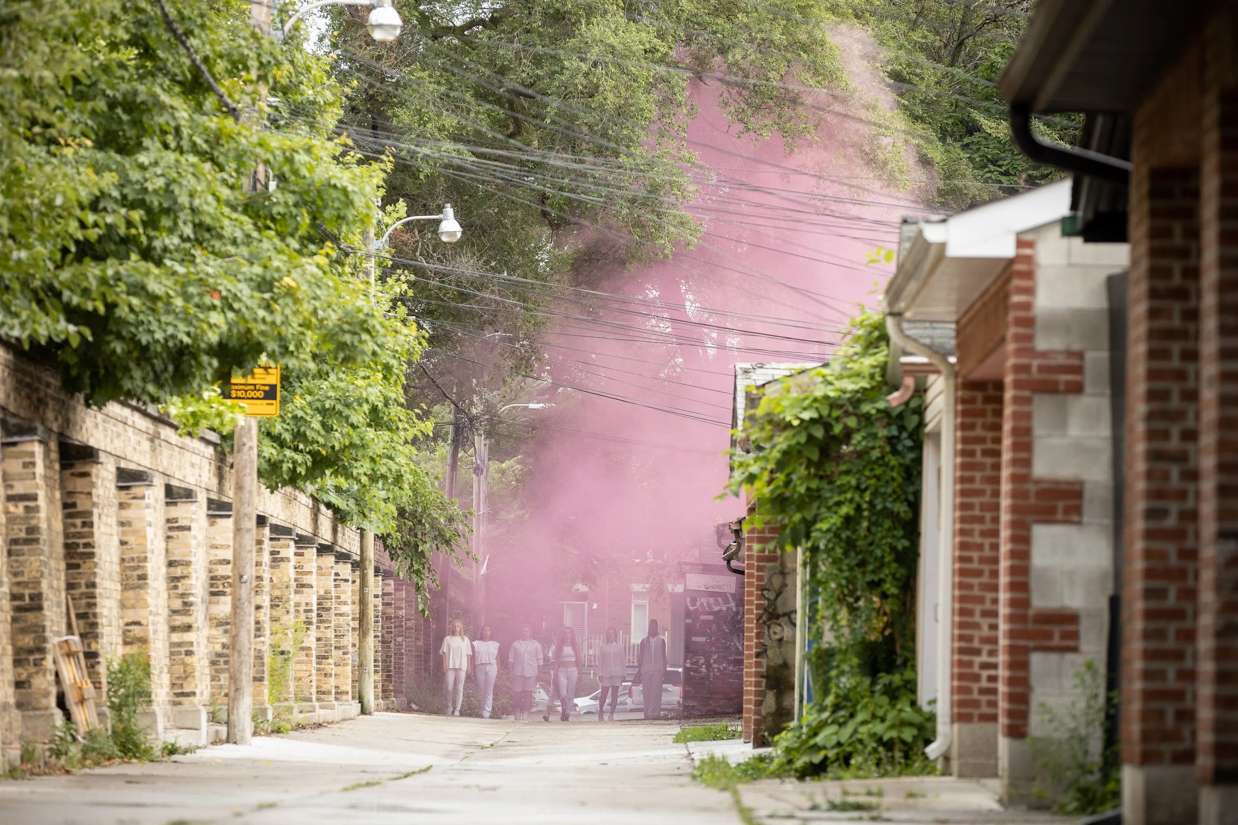  Photo by Andrew Williamson 