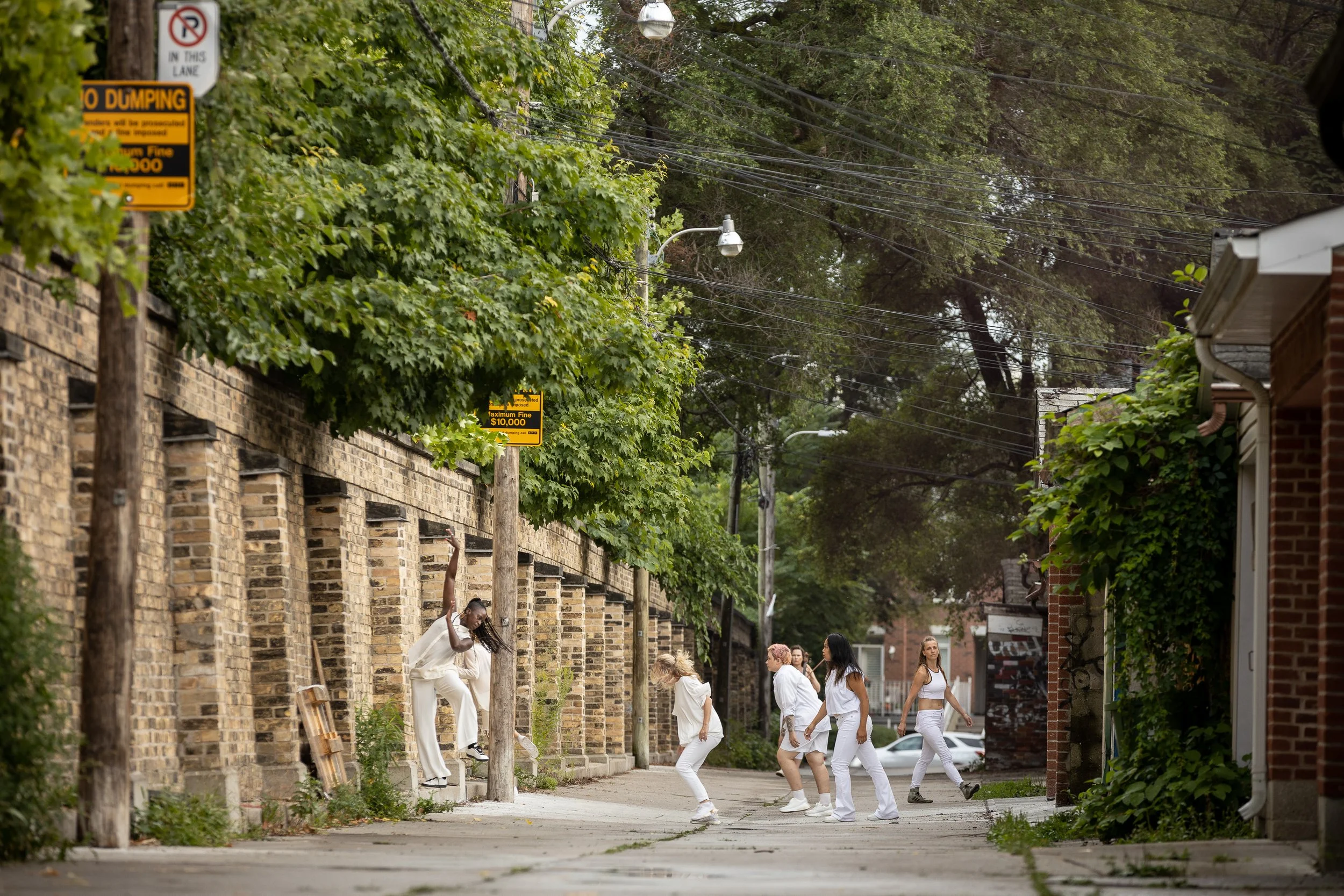  Photo by Andrew Williamson 