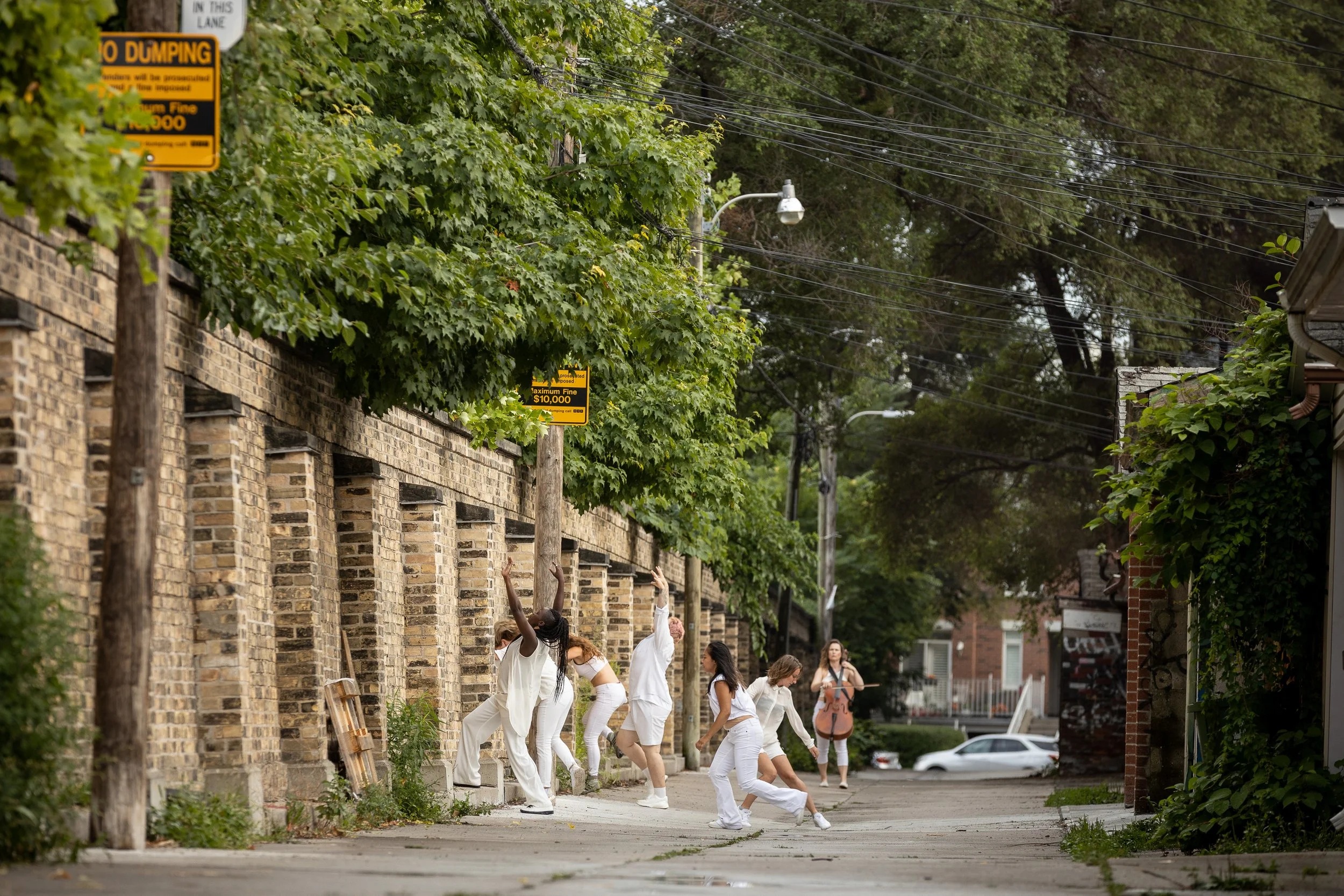  Photo by Andrew Williamson 