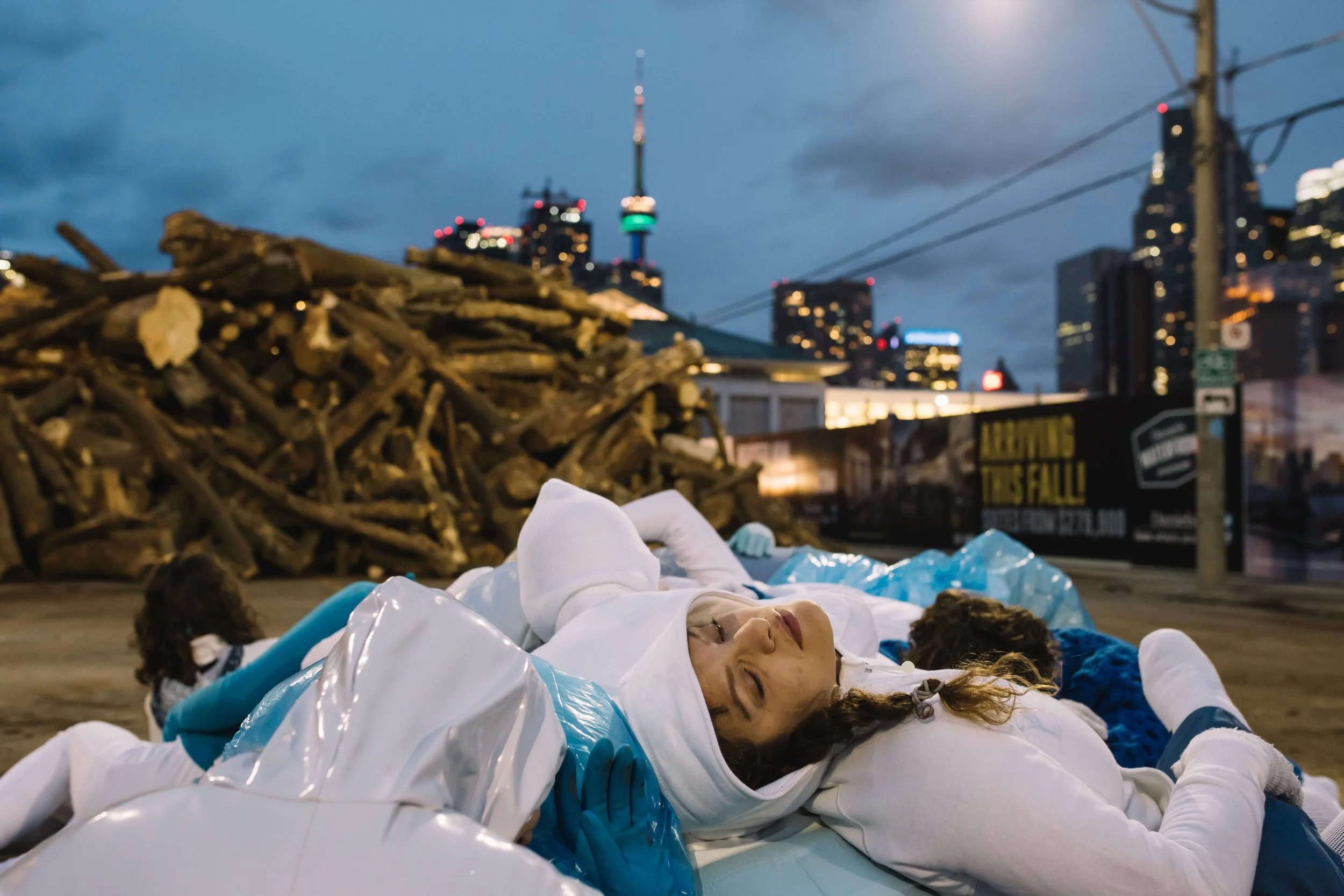 ANANDAM/ Brandy Leary. Glaciology . Curator: Christine Shaw. 2015