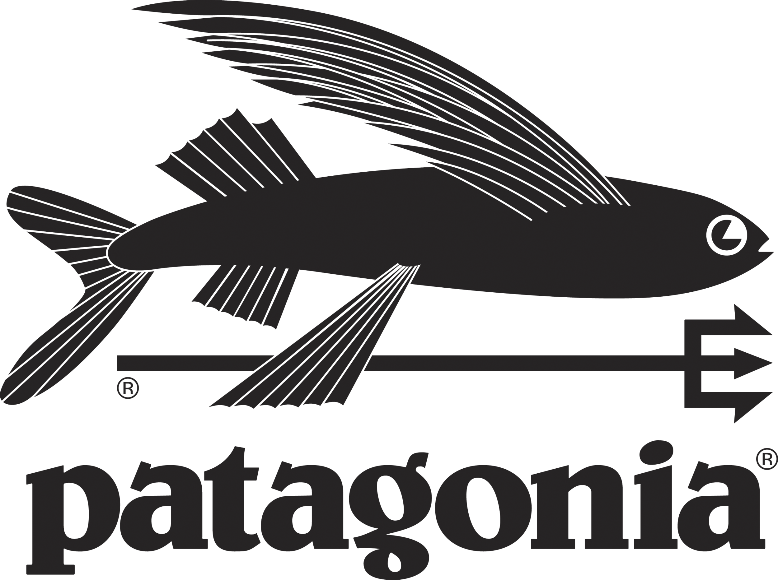 Patagonia Wetsuits