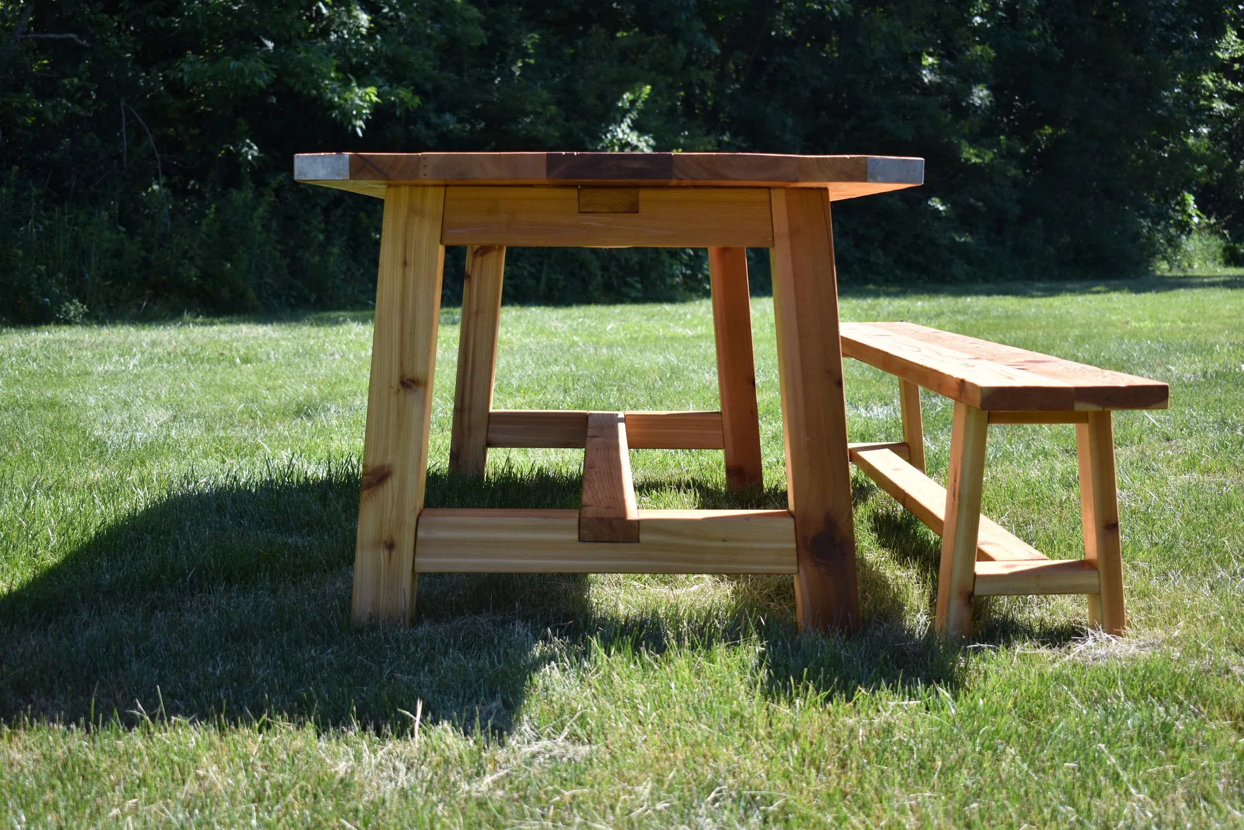 stump_3.JPG