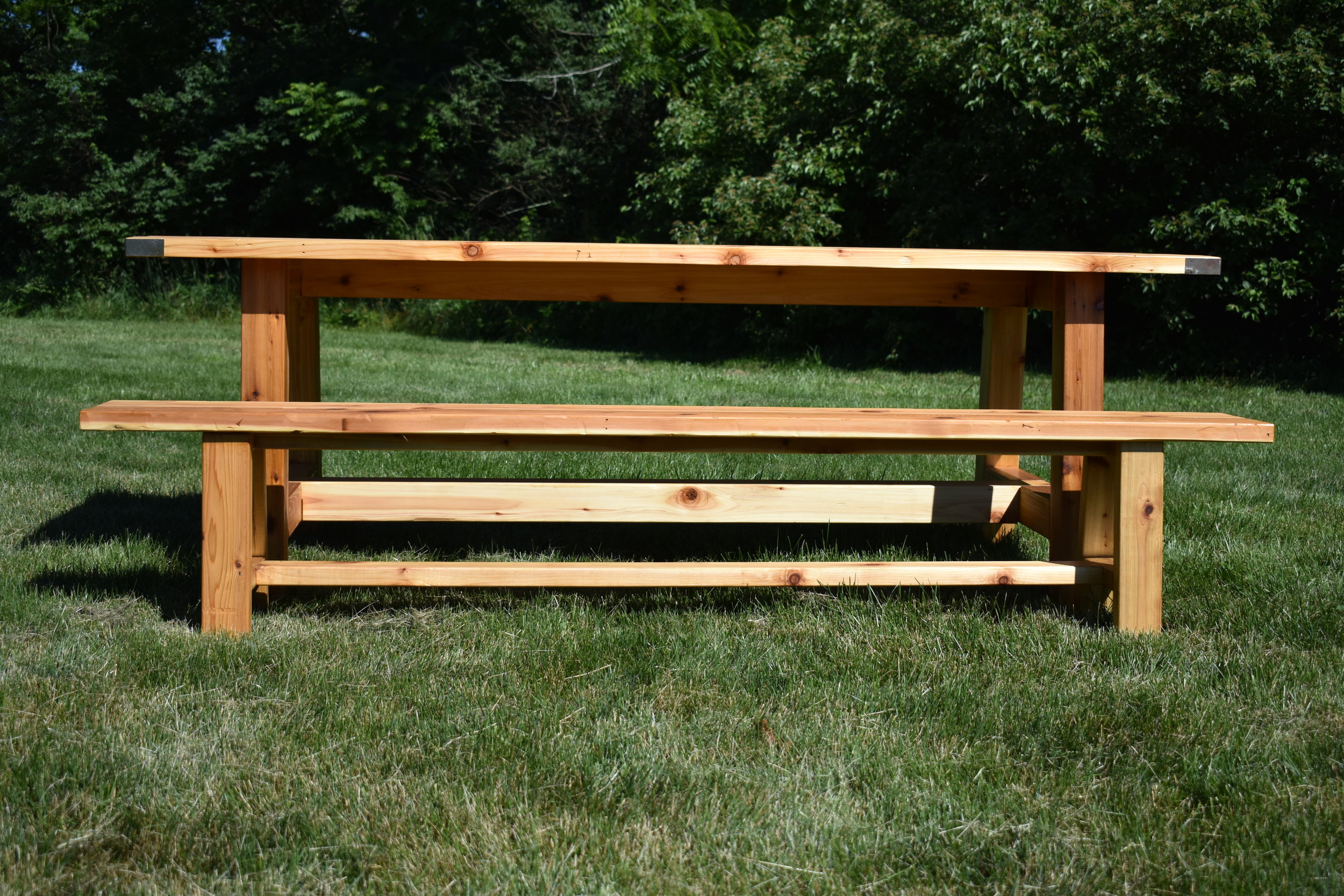 stump_4.JPG