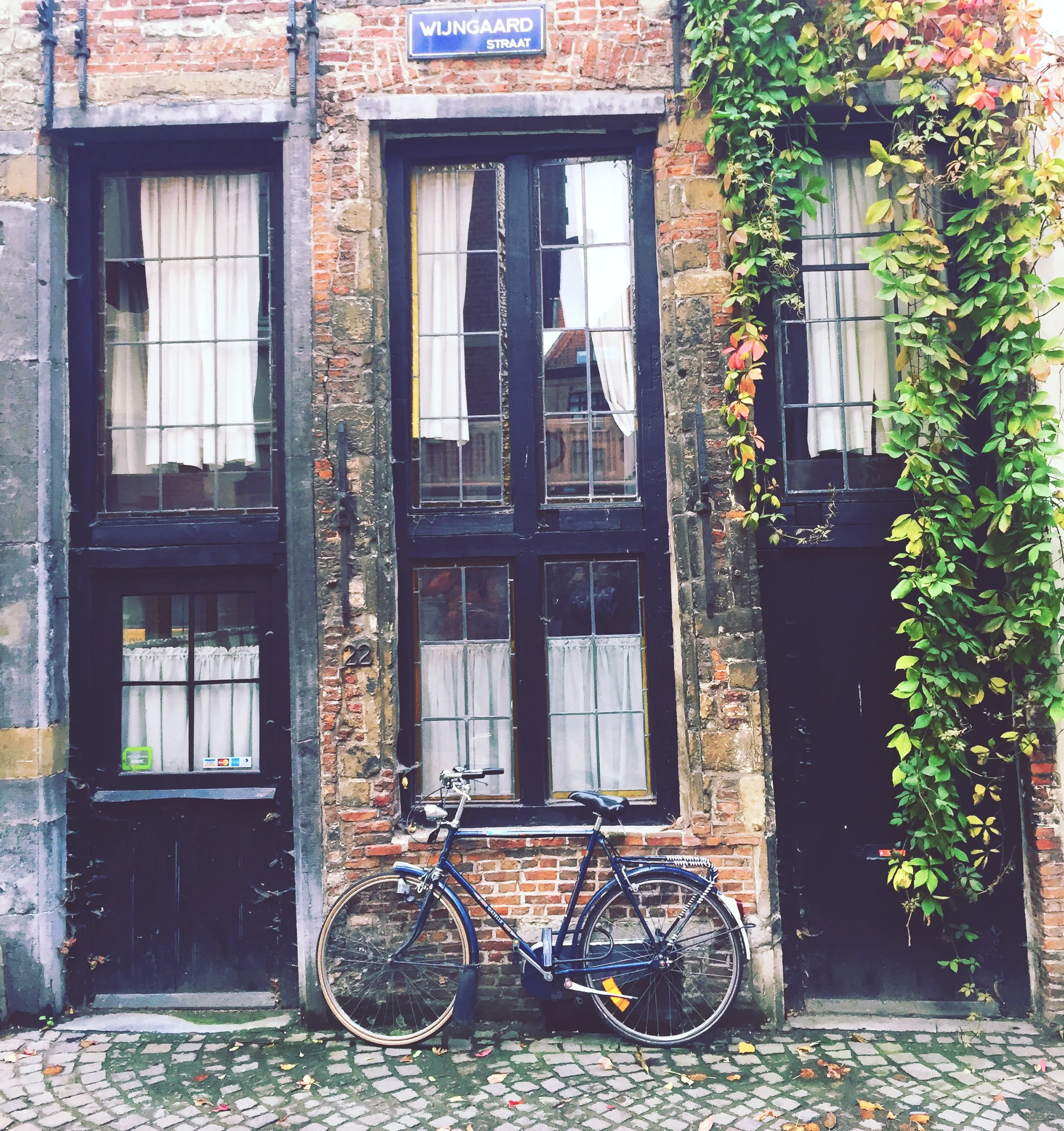 andy-white-Zo54N9eKY64-unsplash.jpg