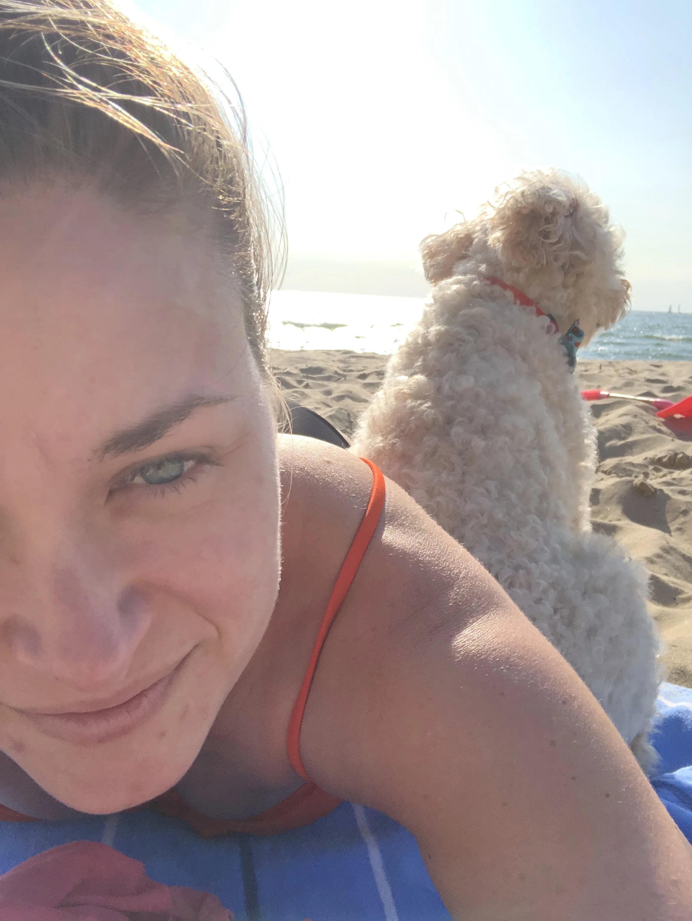 Engine stalled with my trusty companion while Miguel gives me an Adelaide break July, 2019
