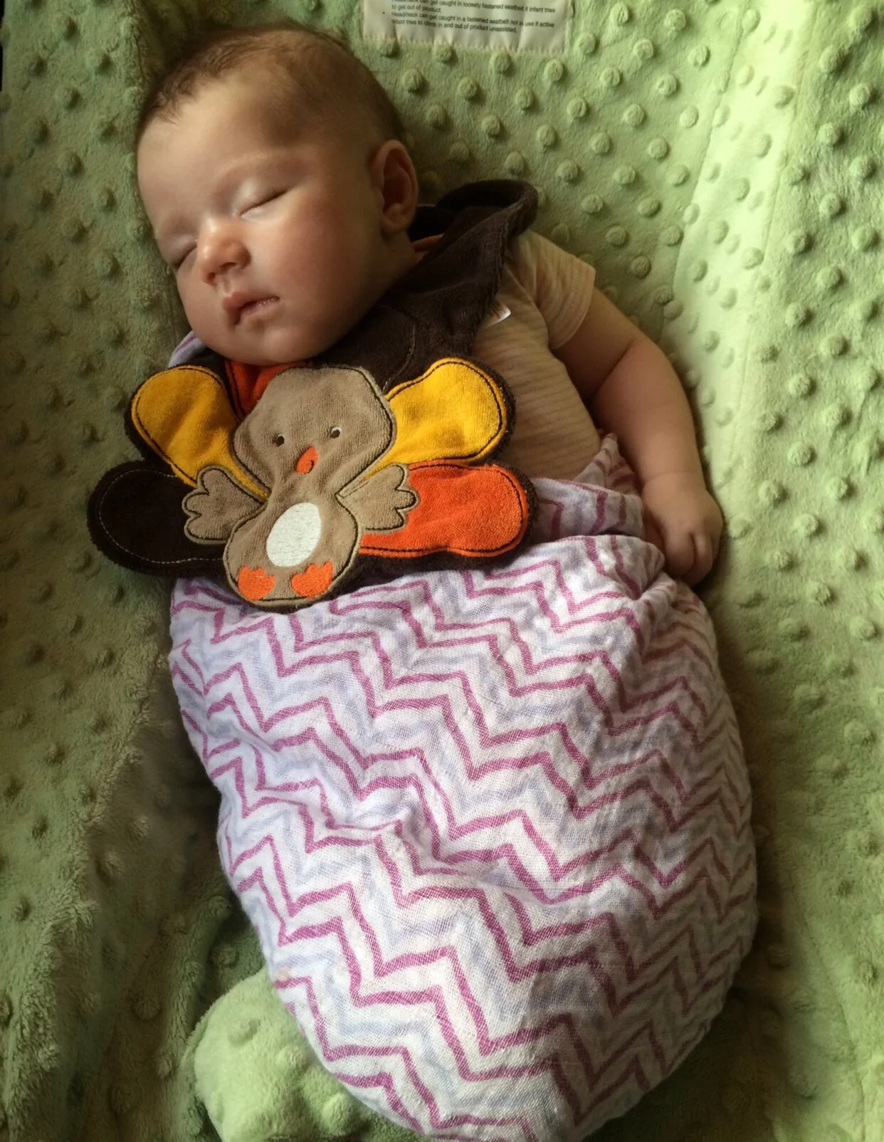 Adelaide’s first Thanksgiving, Nov 2015