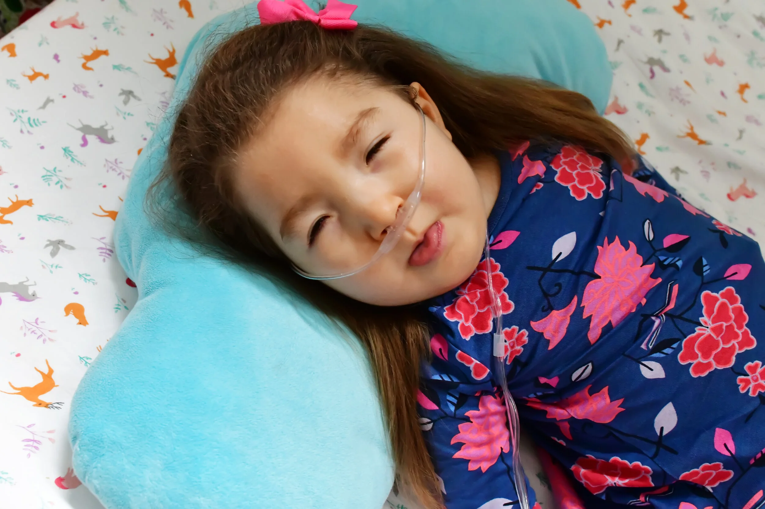 Photo Credit: Lori Sapio Photography September, 2019