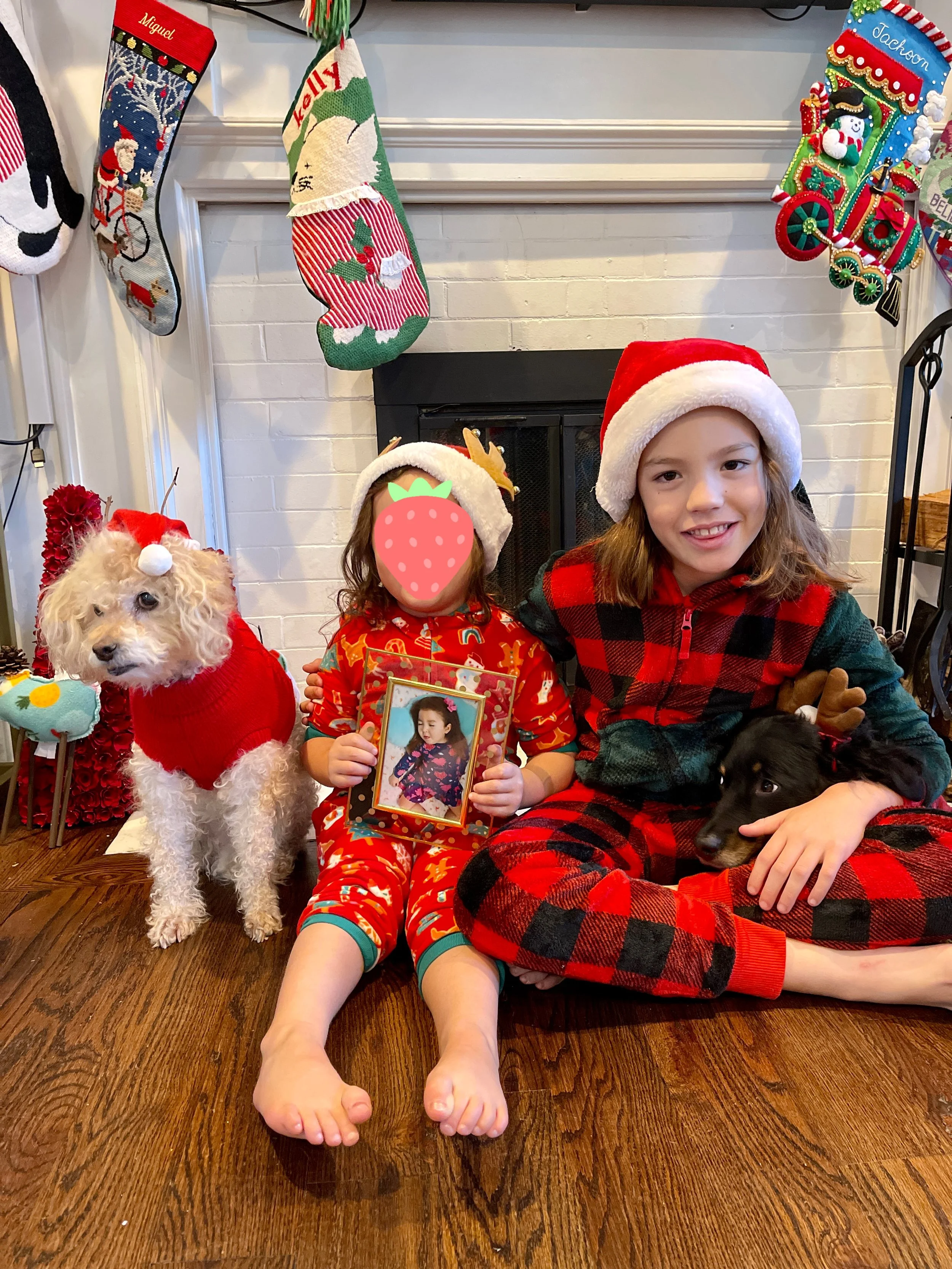 Everything has its place