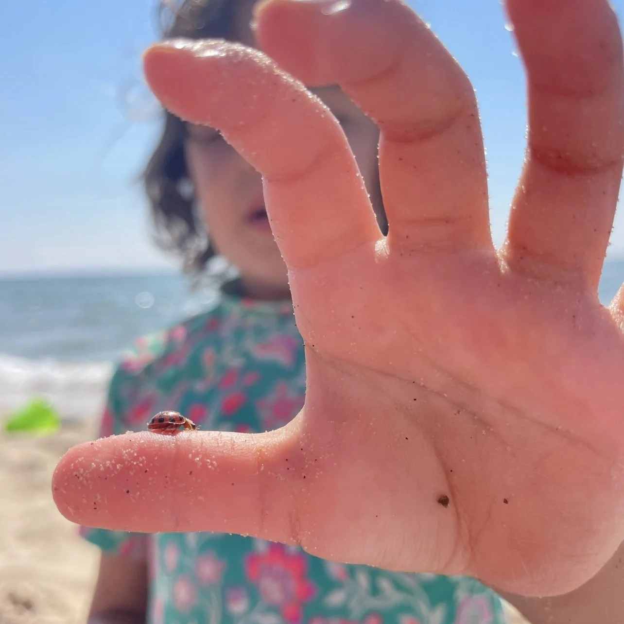 Lady(bug) of the lake