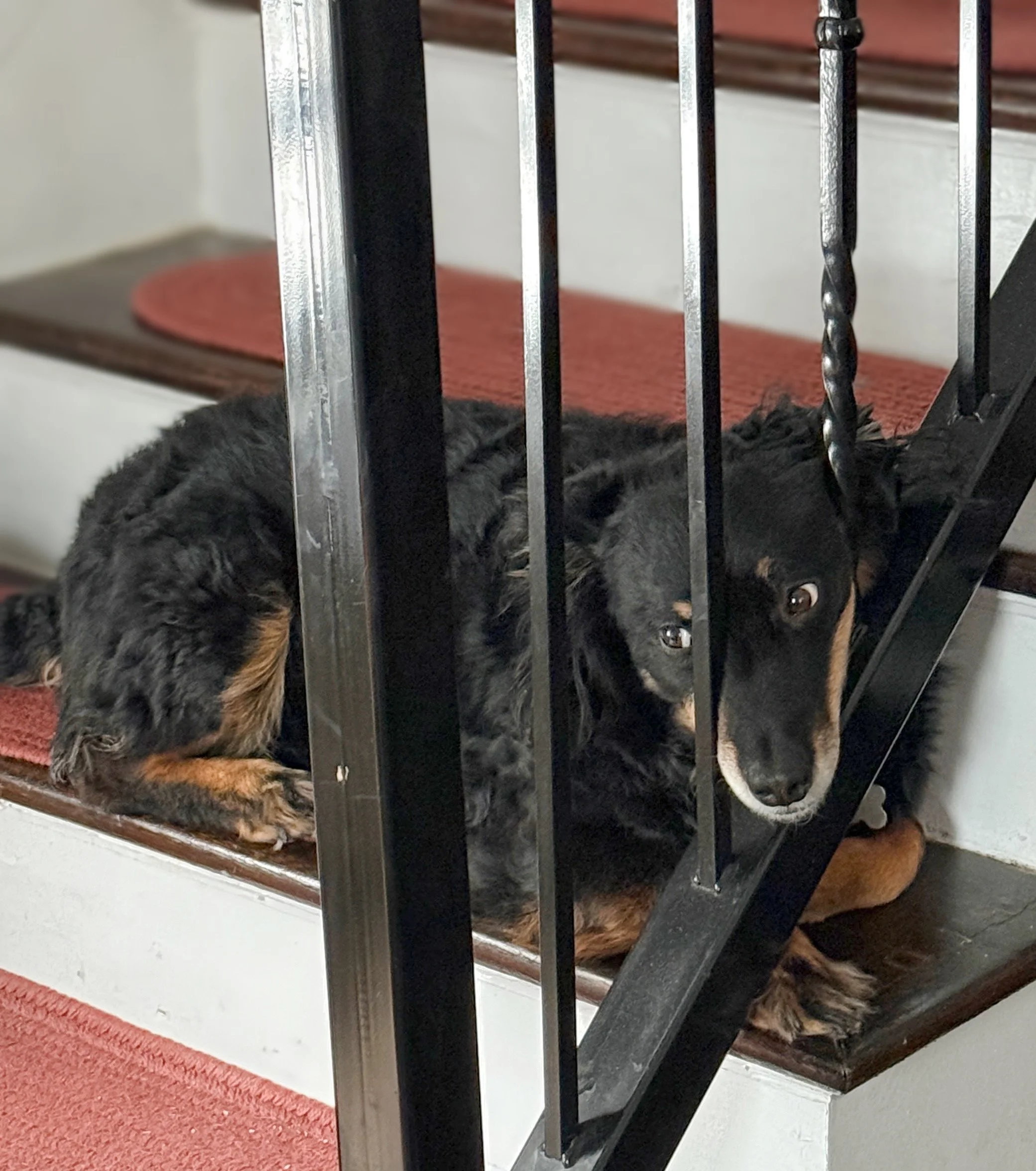 All things considered...