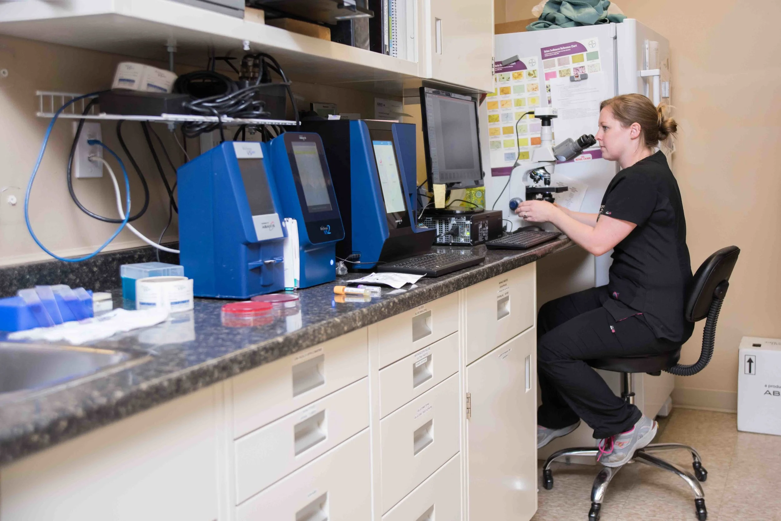 Prescott-Animal_Hospital-laboratory.jpg