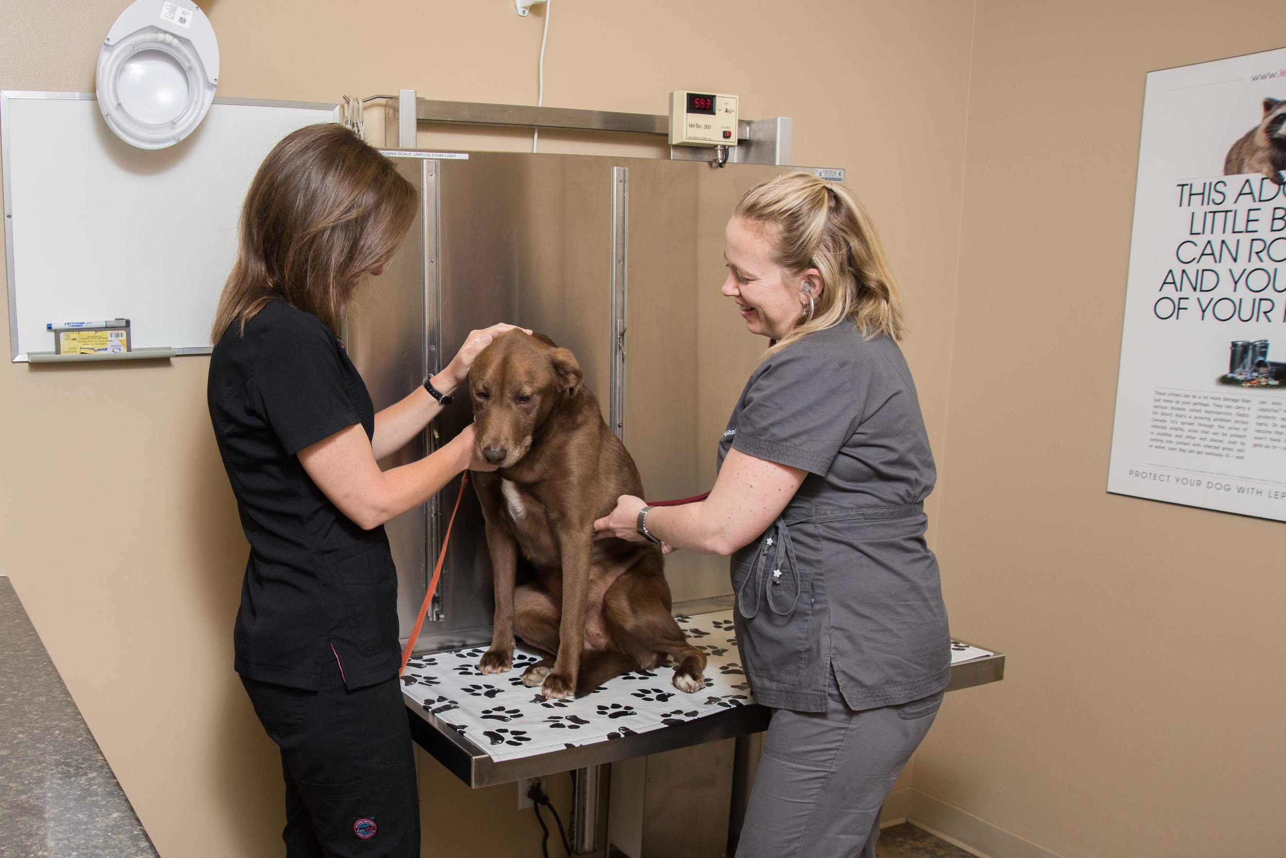 Clinic Tour — Prescott Animal Hospital