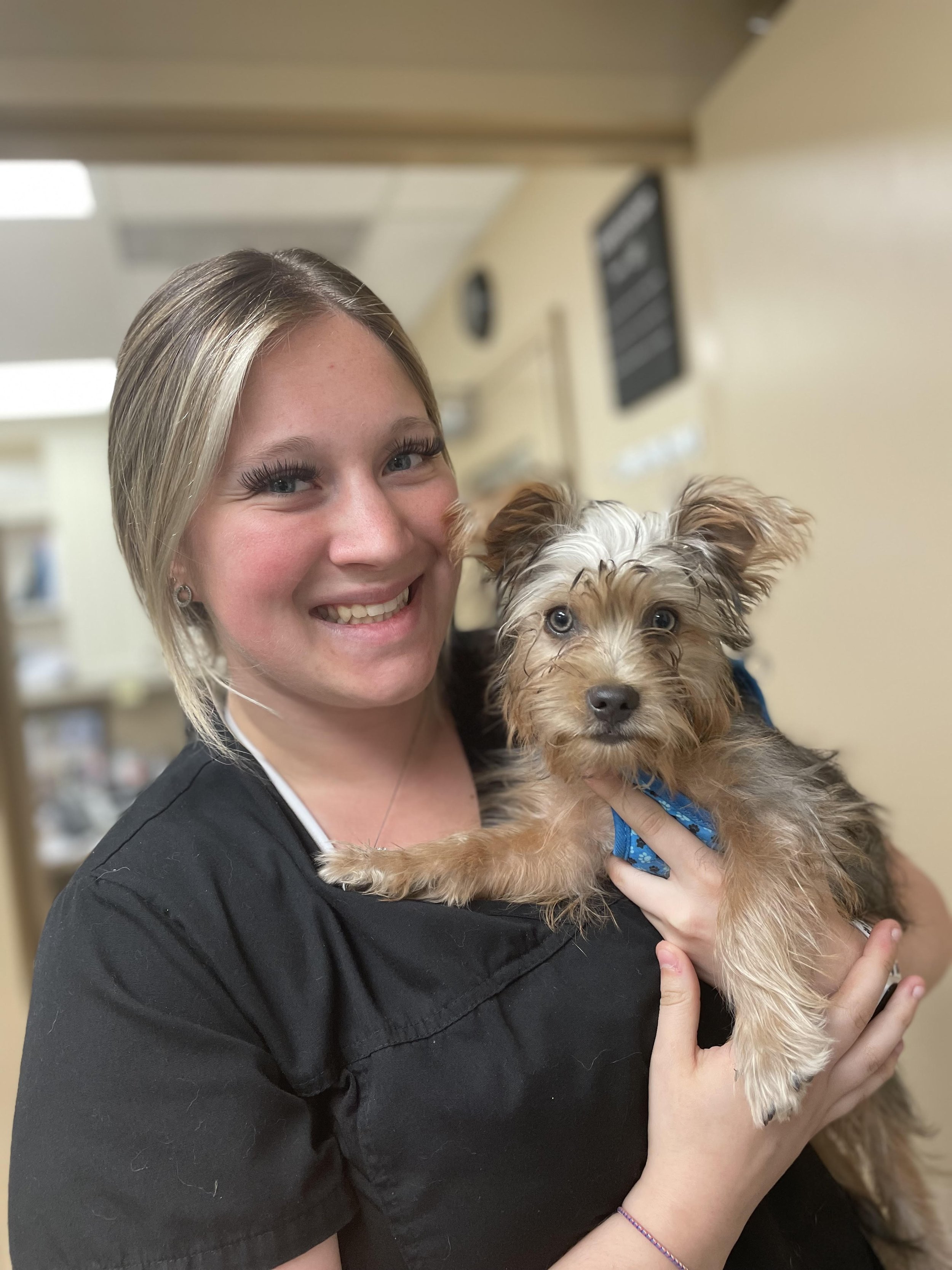 Featured News — Prescott Animal Hospital Featured News — Prescott Animal Hospital