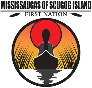 MSIFN logo.png