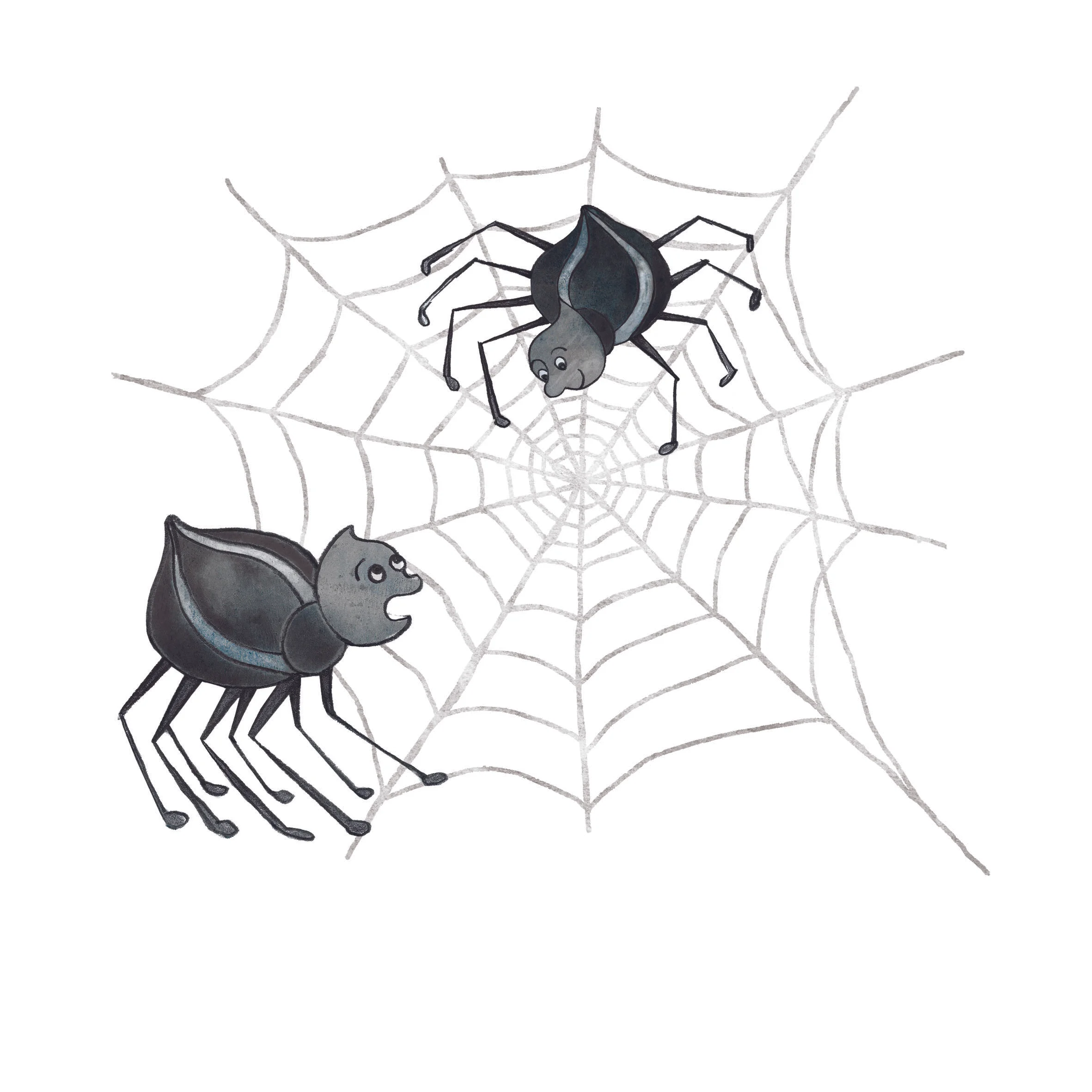Spiders by Sarah Harrison.jpg