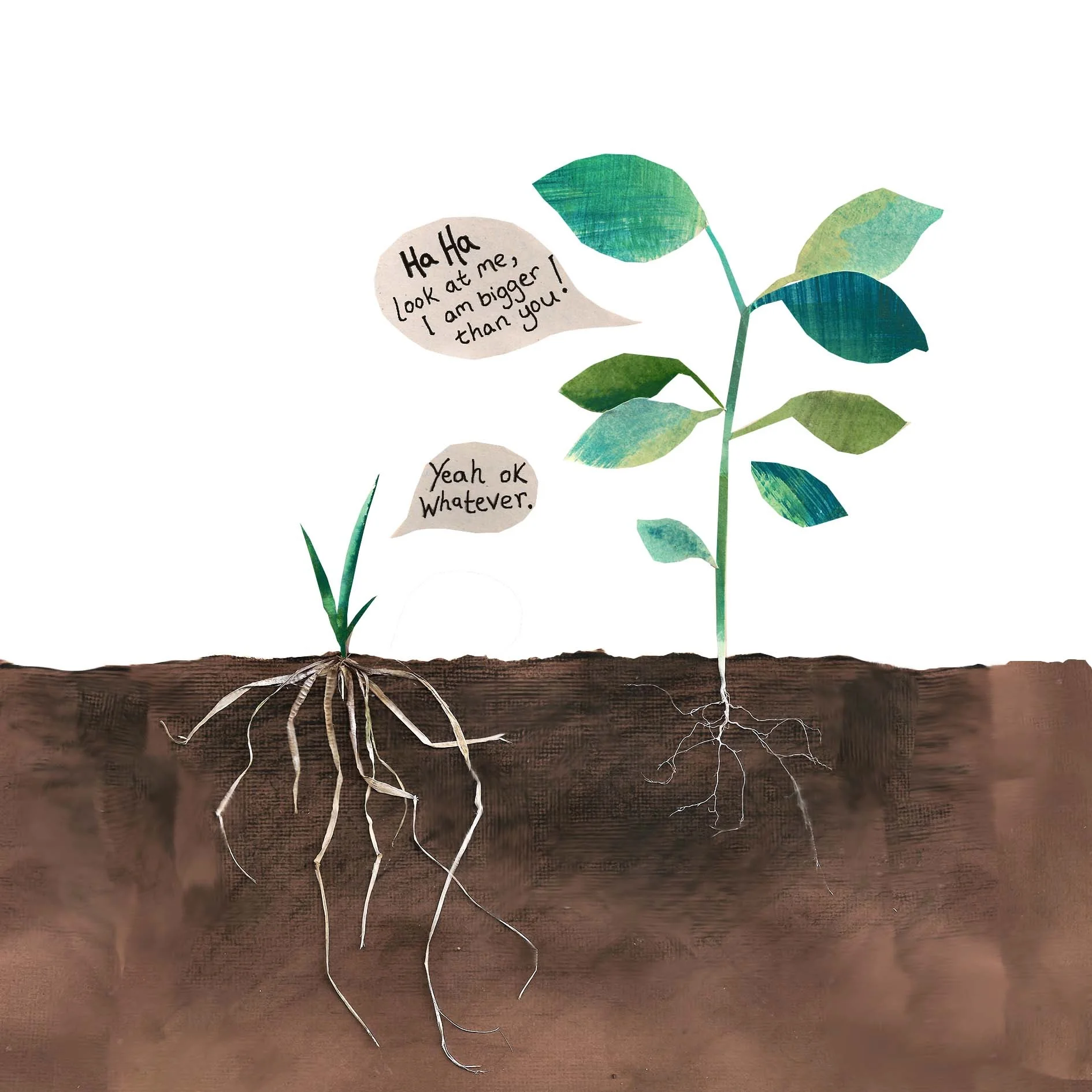 Talking Roots By Sarah Harrison.jpg