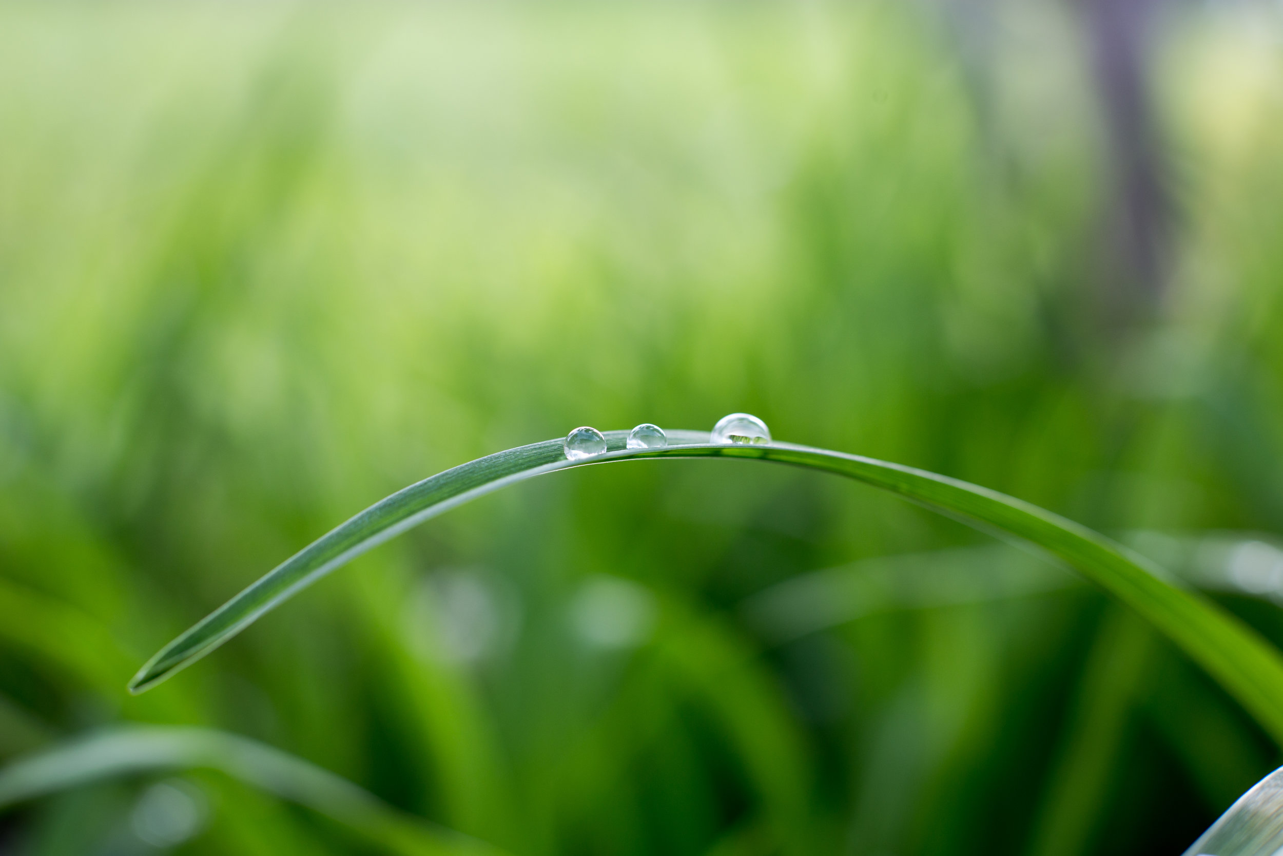From Mindfulness to Insight – Rob Nairn