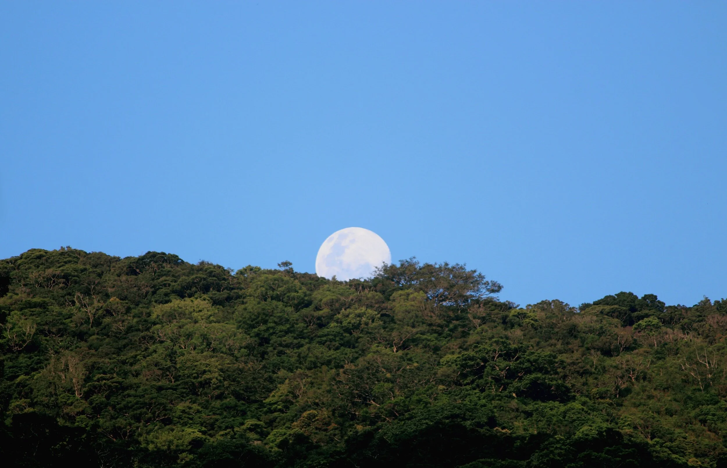 "BARDO DAY" on FULL MOON