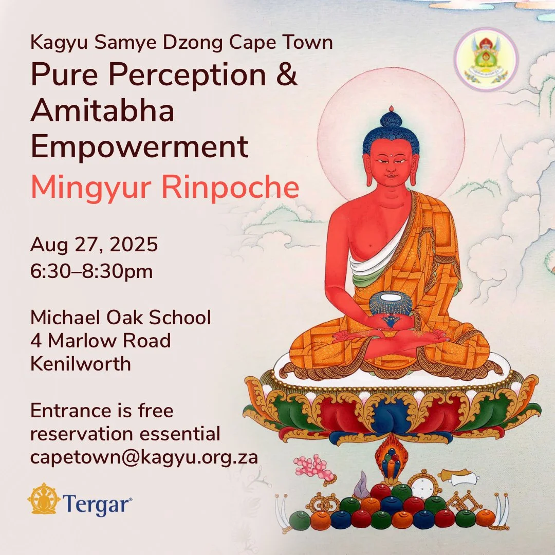 Pure Perception & Amitabha