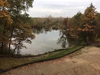 Shoreline Image.jpg