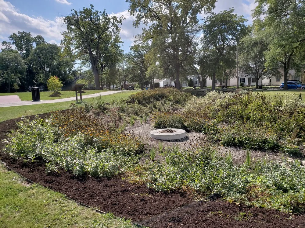 Winter Invasive Brush & Design Discounts are Creating Sustainable Landscapes