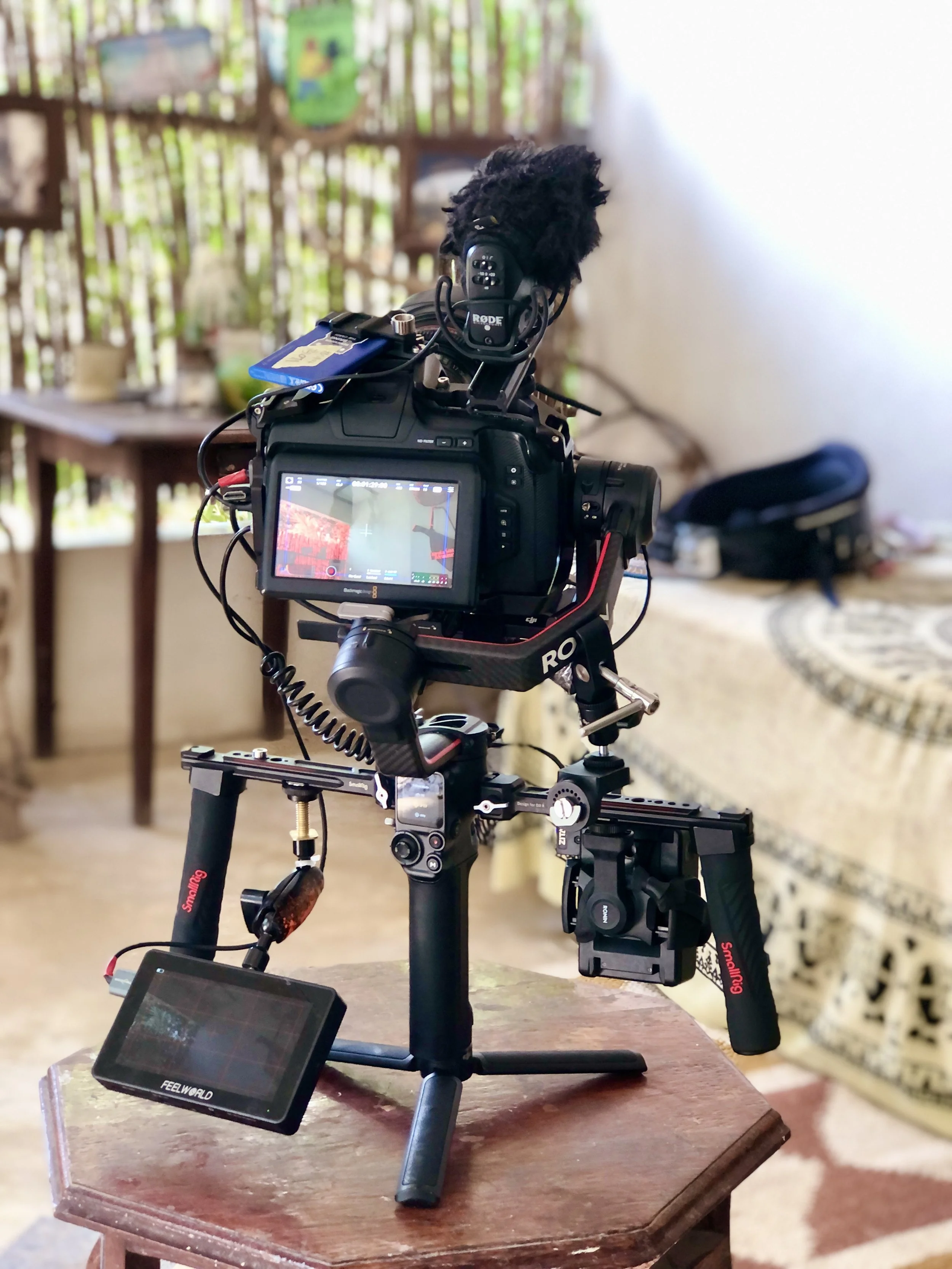 RS2 GIMBAL BMP6K 2024IMG_3248.jpg