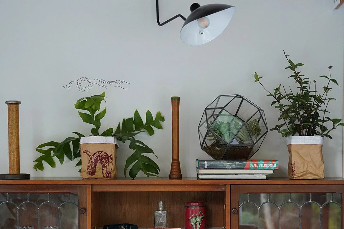 2022年7月1日より新潟県妙高市に妙高BASE CAMPがオープンしました。 NAGOMI CAFEはこの施設内に併設されており、人々に心と体の癒しを提供するカフェです。「ととのう、妙高山麓」をコンセプトに妙高の大自然を感じられる気持ちの良い空間づくりへのこだわりと、妙高でつくられた食材を使用したフード・ドリンクメニューで体の内側からも外側からも整っていただく事を目指しています。カフェのロゴデザインはwalnutが作成させていただきました。店内には妙高をモチーフとした様々なイラストをWalnu