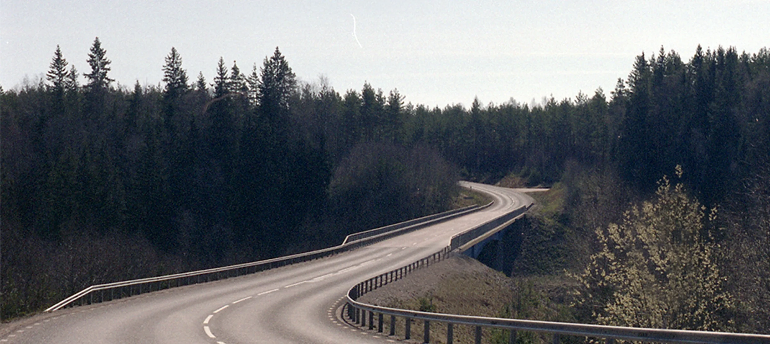 01.jpg